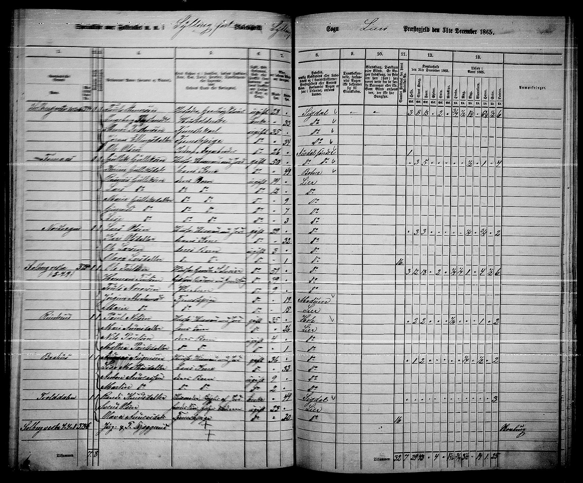 RA, 1865 census for Lier, 1865, p. 206