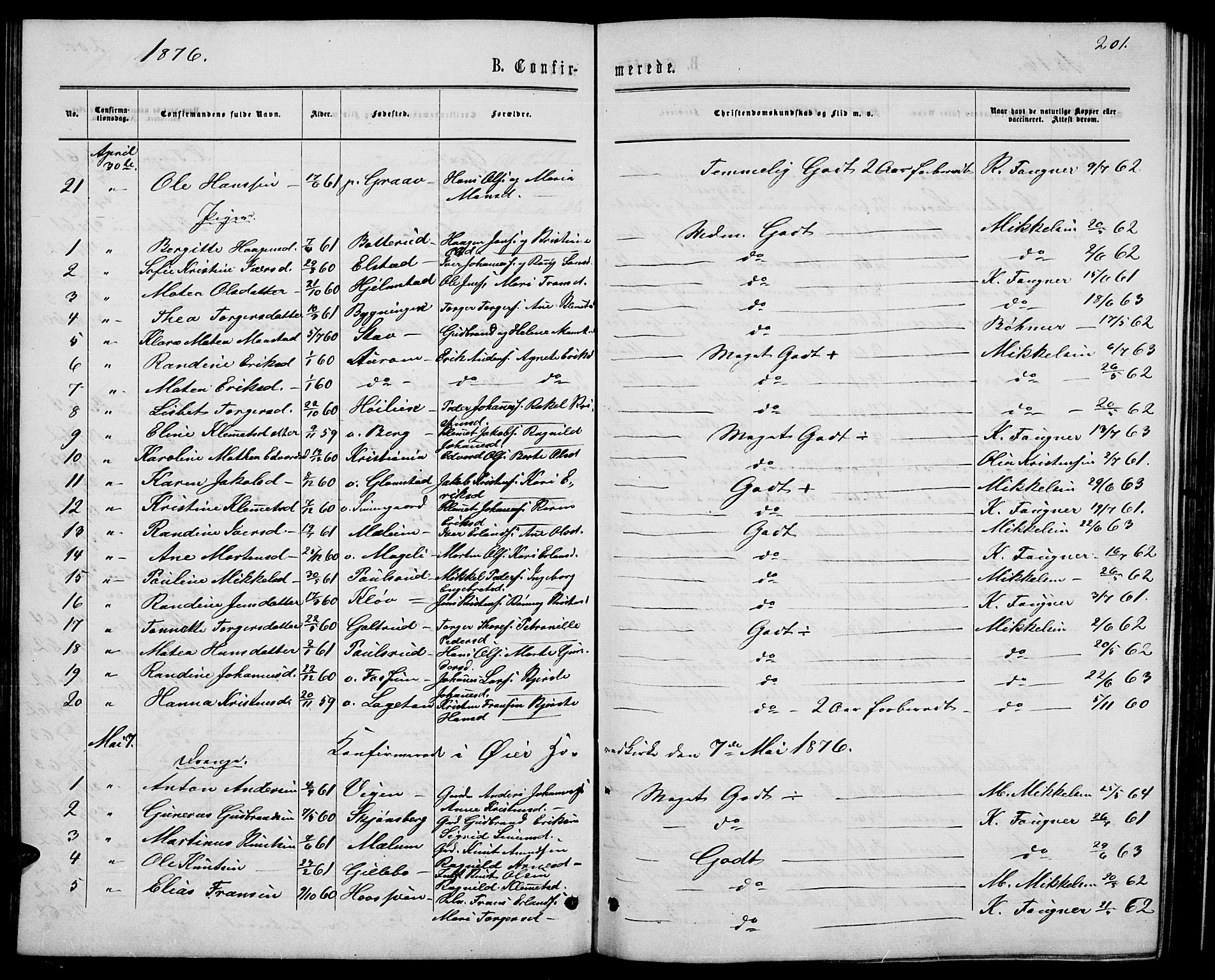 Øyer prestekontor, SAH/PREST-084/H/Ha/Hab/L0001: Parish register (copy) no. 1, 1863-1877, p. 201