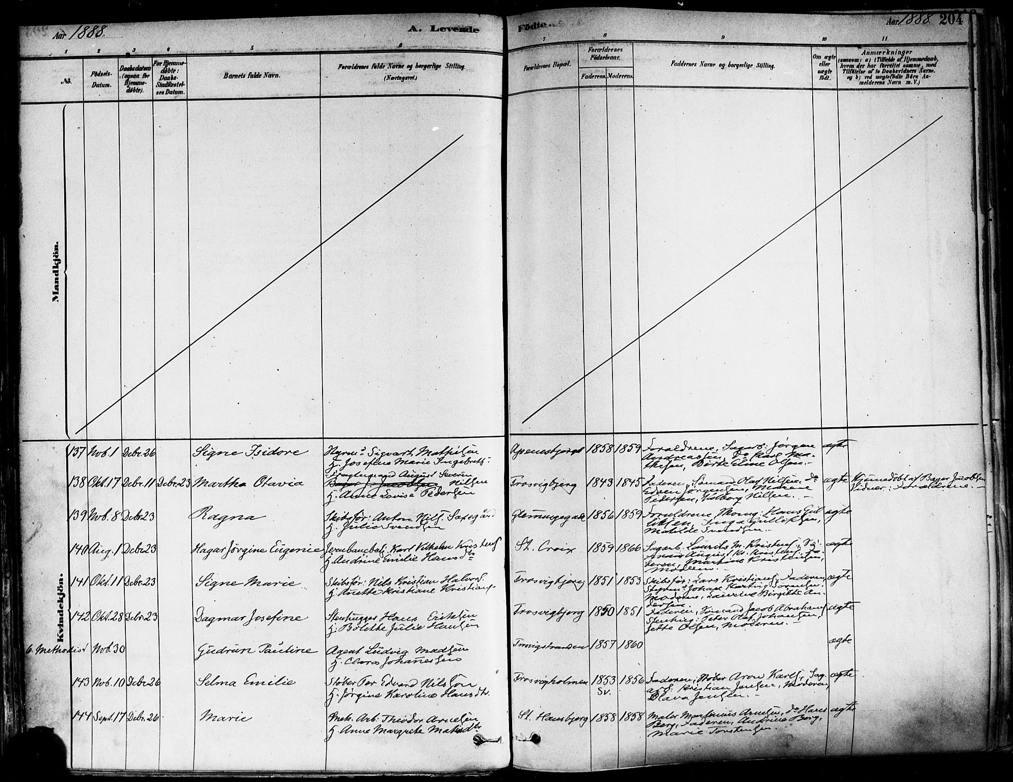 Fredrikstad domkirkes prestekontor Kirkebøker, AV/SAO-A-10906/F/Fa/L0002: Parish register (official) no. 2, 1878-1894, p. 204