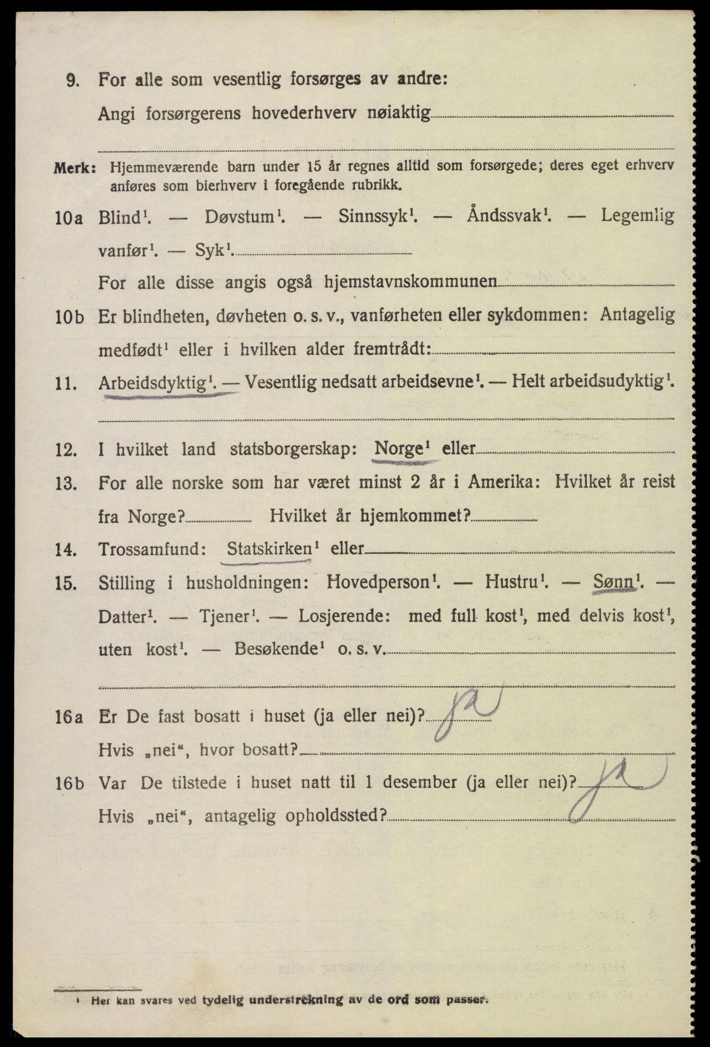 SAK, 1920 census for Hornnes, 1920, p. 3244