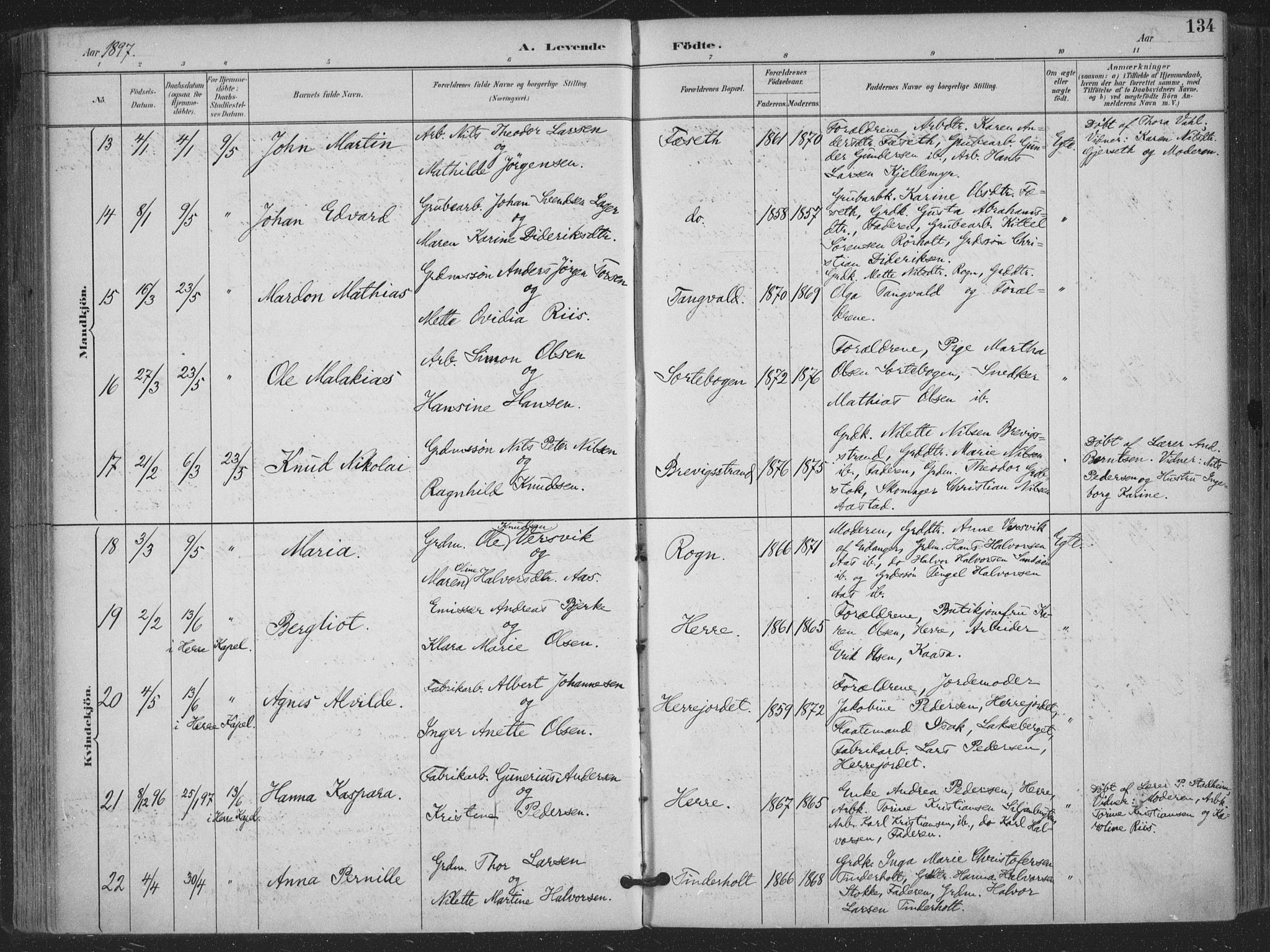 Bamble kirkebøker, AV/SAKO-A-253/F/Fa/L0008: Parish register (official) no. I 8, 1888-1900, p. 134