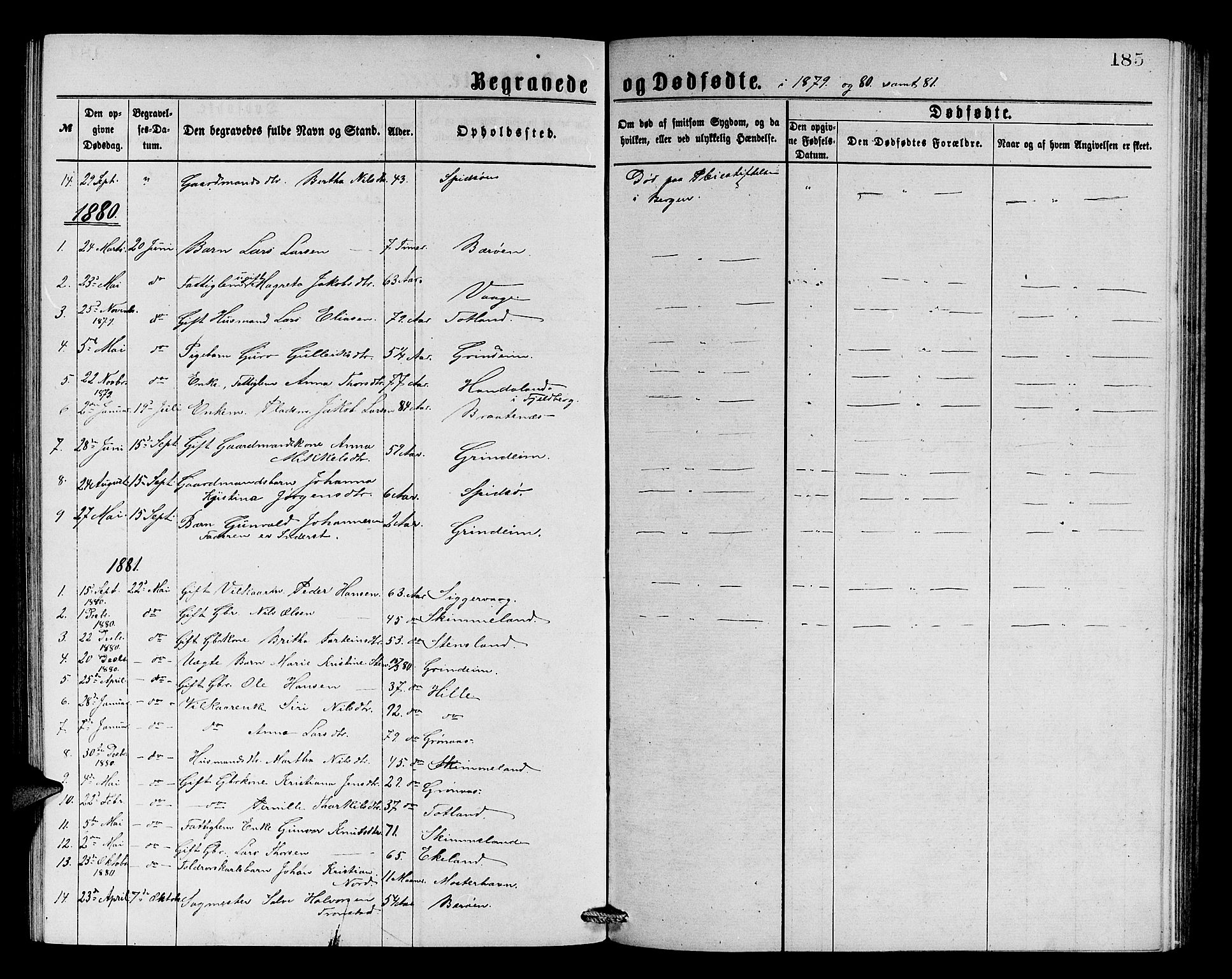 Finnås sokneprestembete, SAB/A-99925/H/Ha/Hab/Haba/L0002: Parish register (copy) no. A 2, 1873-1882, p. 185