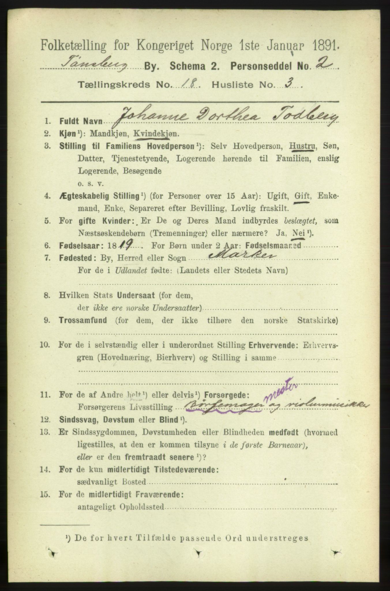 RA, 1891 census for 0705 Tønsberg, 1891, p. 5118