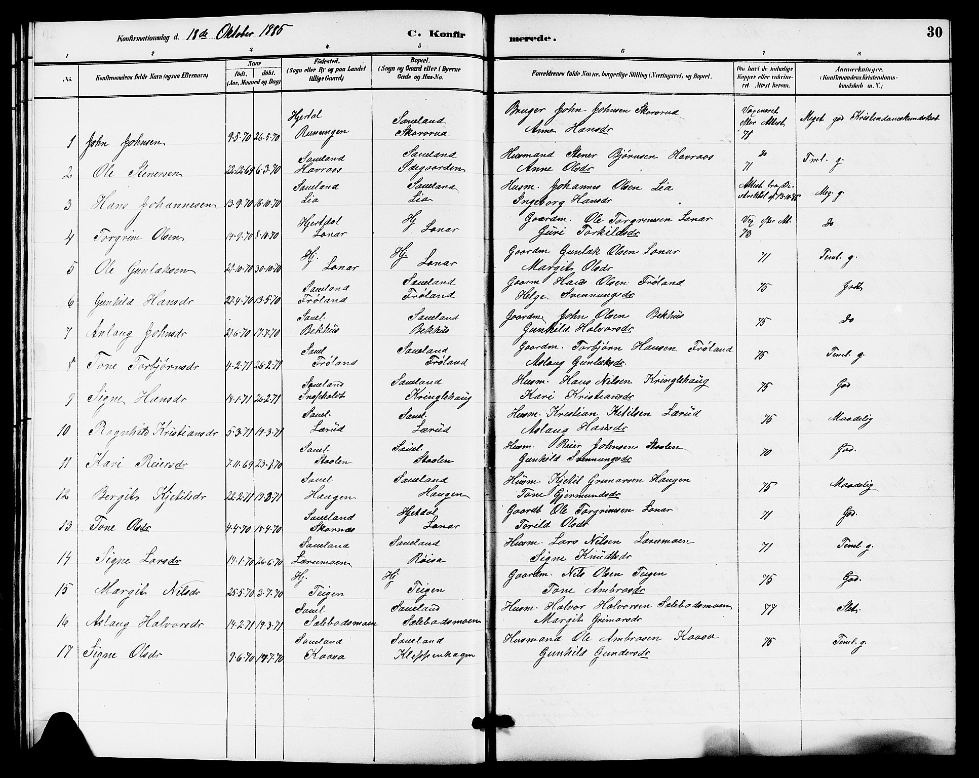 Hjartdal kirkebøker, SAKO/A-270/G/Gb/L0003: Parish register (copy) no. II 3, 1884-1899, p. 30
