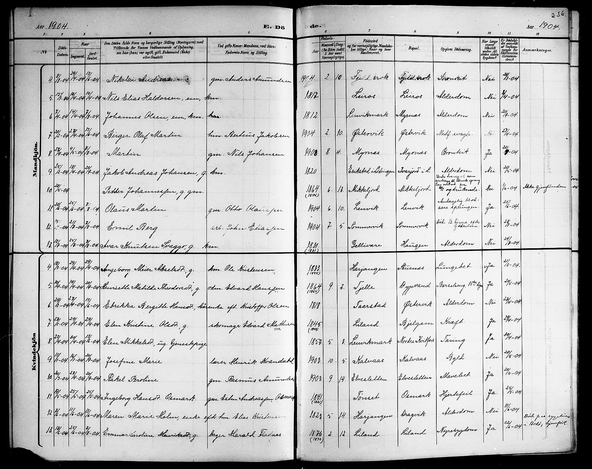 Ministerialprotokoller, klokkerbøker og fødselsregistre - Nordland, AV/SAT-A-1459/863/L0915: Parish register (copy) no. 863C05, 1898-1907, p. 236