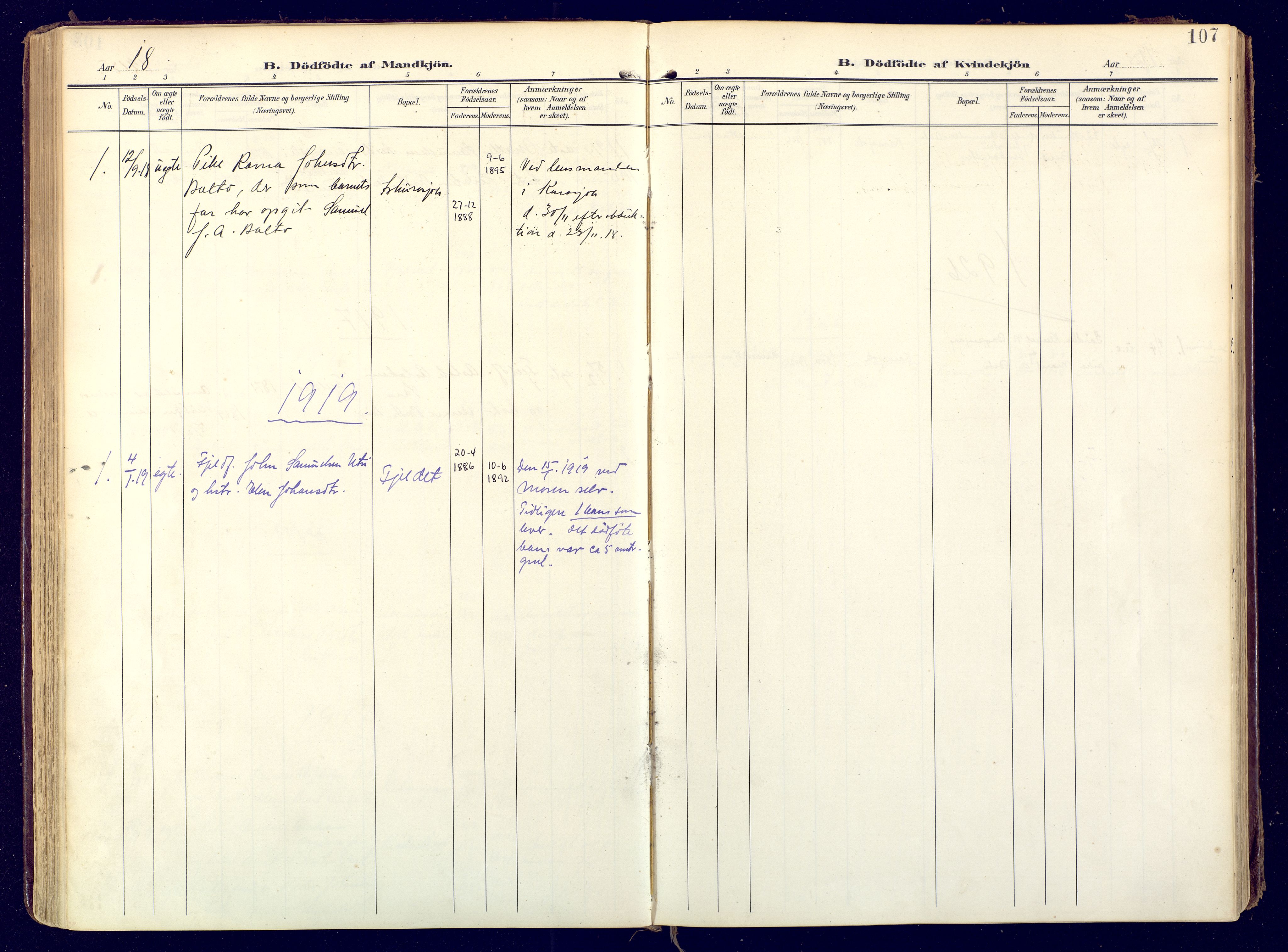 Karasjok sokneprestkontor, SATØ/S-1352/H/Ha: Parish register (official) no. 3, 1907-1926, p. 107