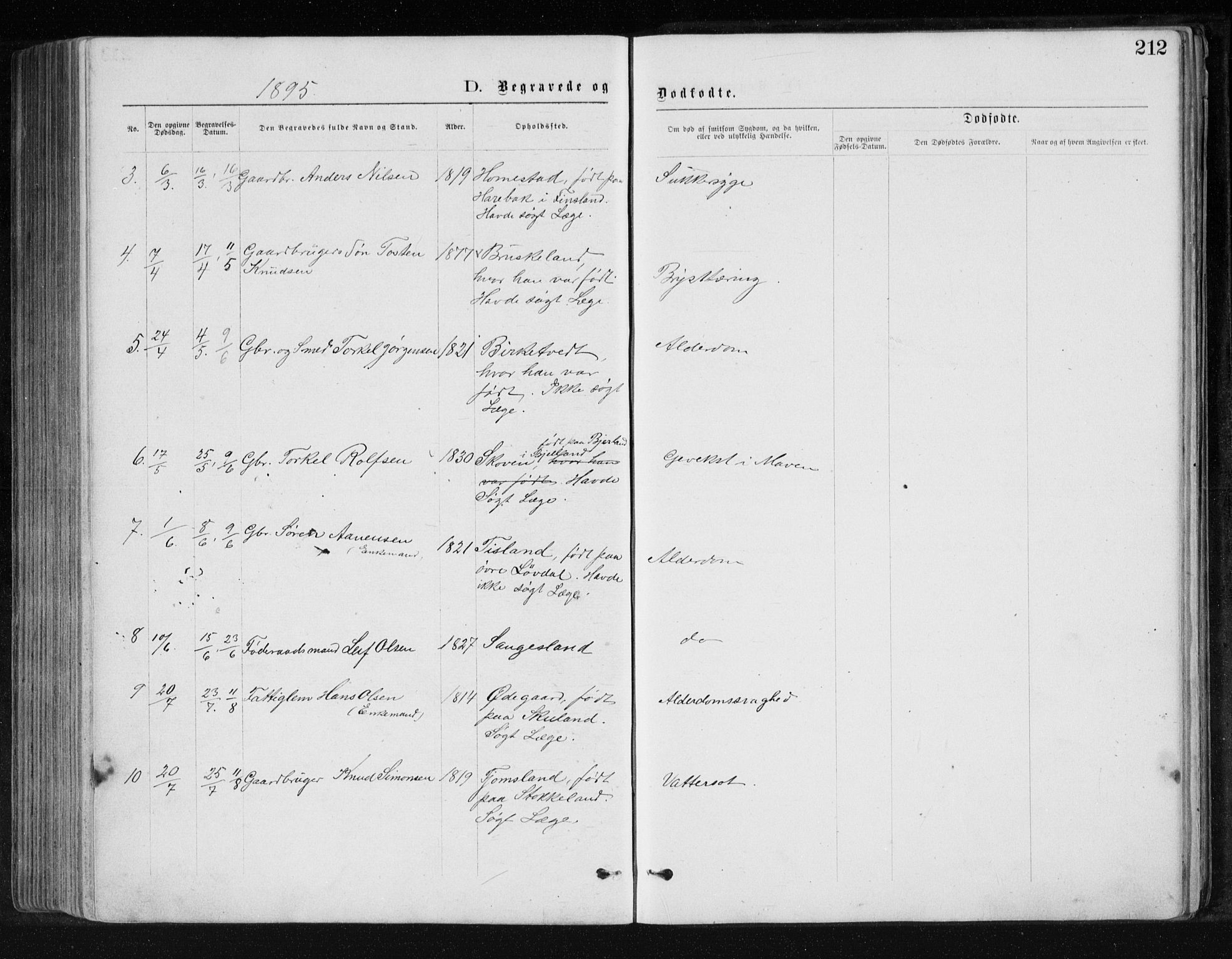 Holum sokneprestkontor, AV/SAK-1111-0022/F/Fb/Fbb/L0003: Parish register (copy) no. B 3, 1875-1898, p. 212