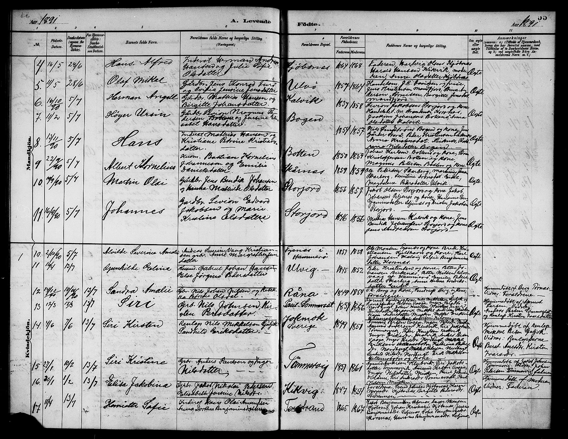 Ministerialprotokoller, klokkerbøker og fødselsregistre - Nordland, AV/SAT-A-1459/861/L0876: Parish register (copy) no. 861C02, 1887-1903, p. 55