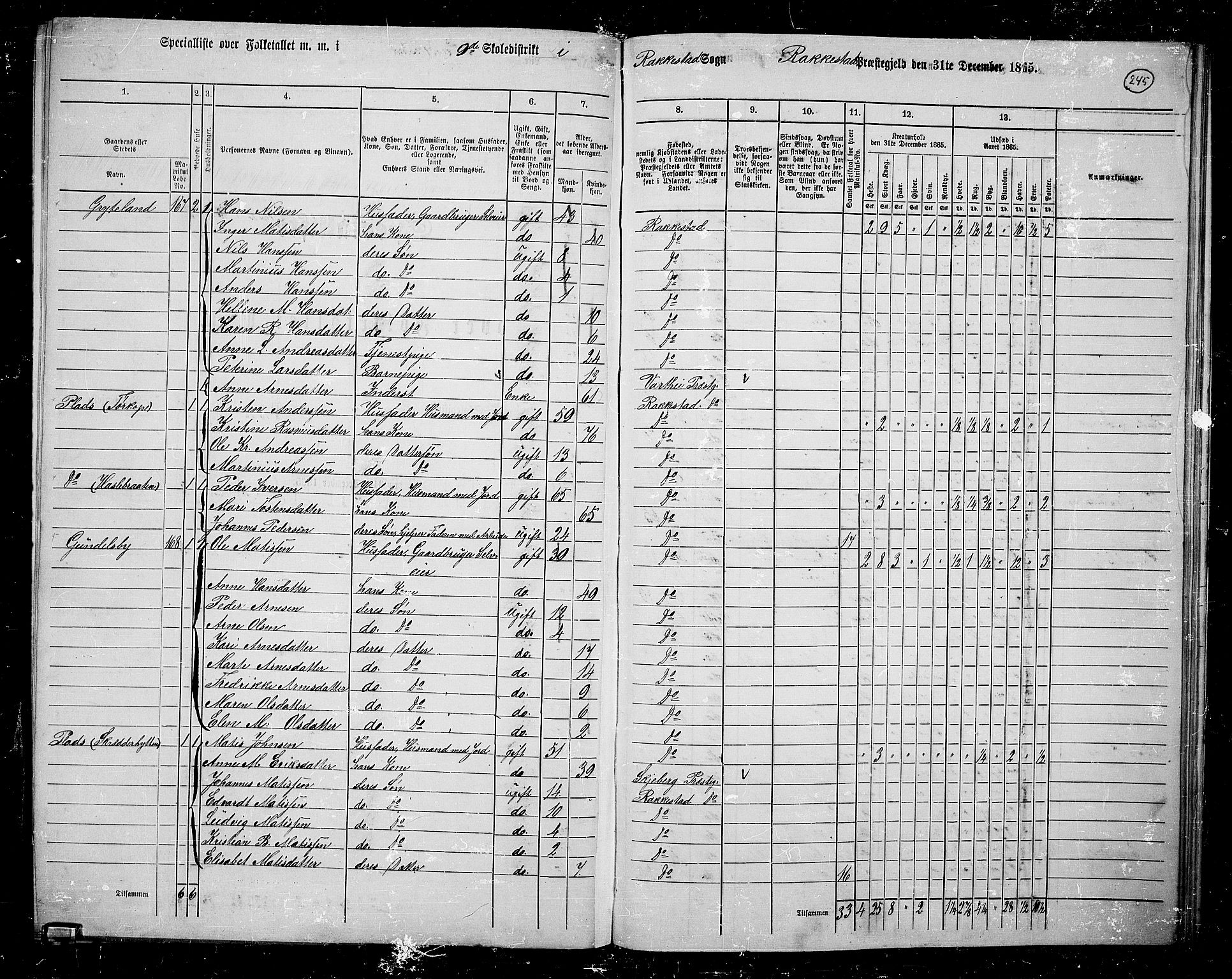 RA, 1865 census for Rakkestad, 1865, p. 234