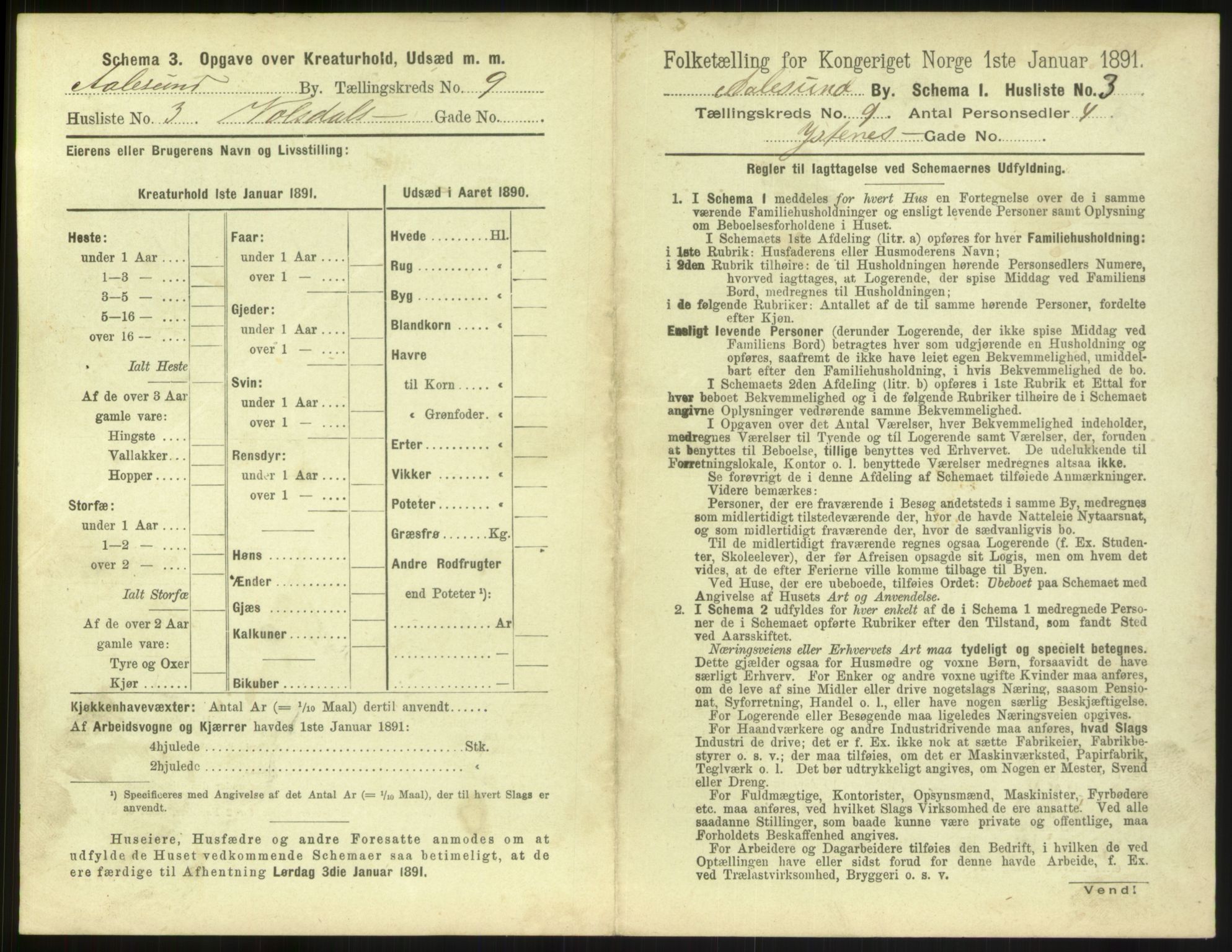 RA, 1891 census for 1501 Ålesund, 1891, p. 694