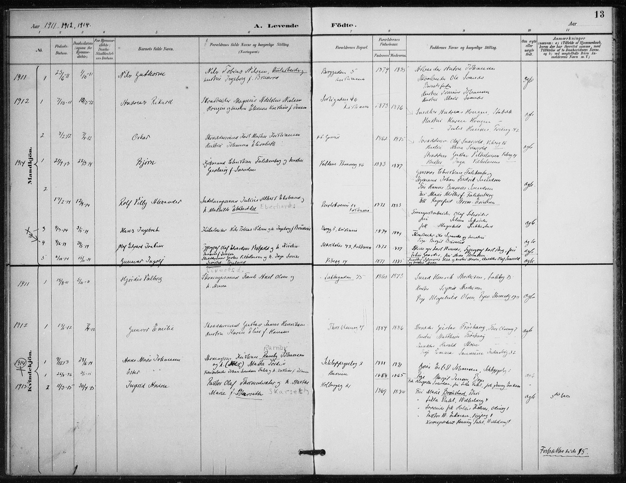 Døves menighet Oslo prestekontor kirkebøker, AV/SAO-A-11064/F/L0001: Parish register (official) no. 1, 1895-1919, p. 13