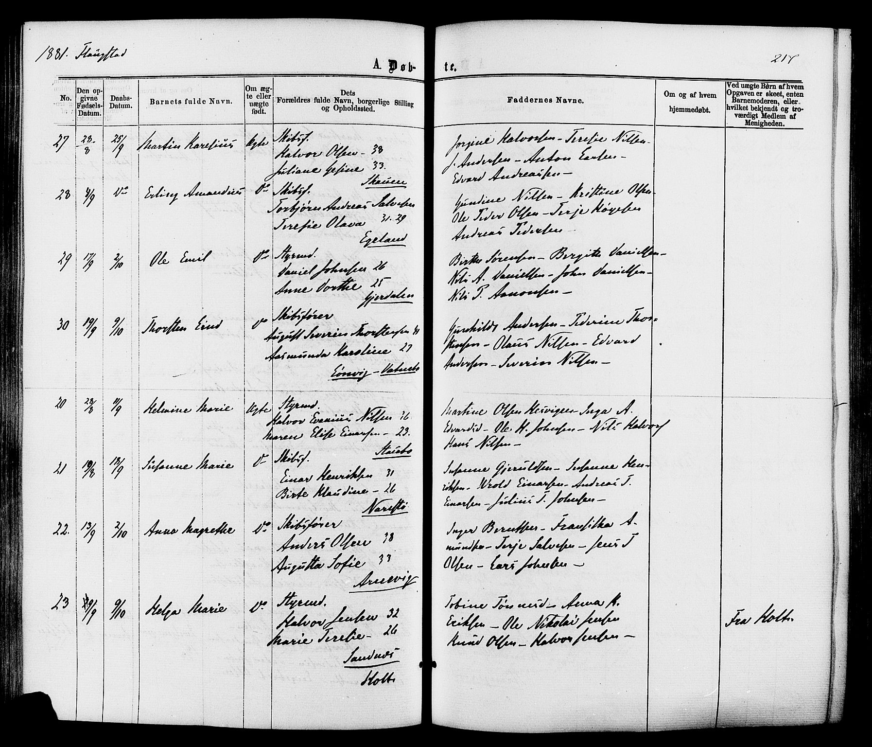 Dypvåg sokneprestkontor, SAK/1111-0007/F/Fa/Faa/L0007: Parish register (official) no. A 7 /2, 1877-1884, p. 217