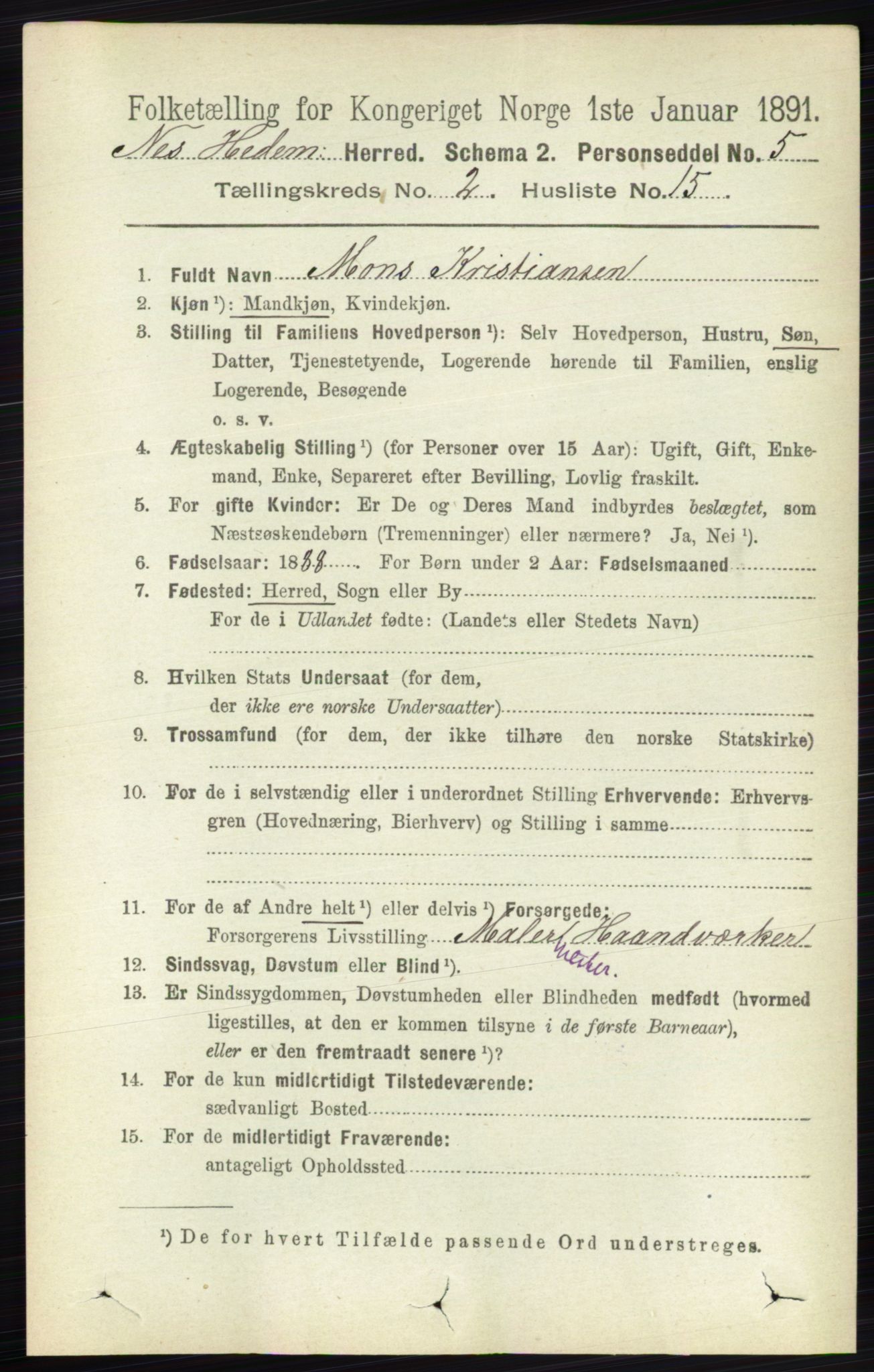RA, 1891 census for 0411 Nes, 1891, p. 1164
