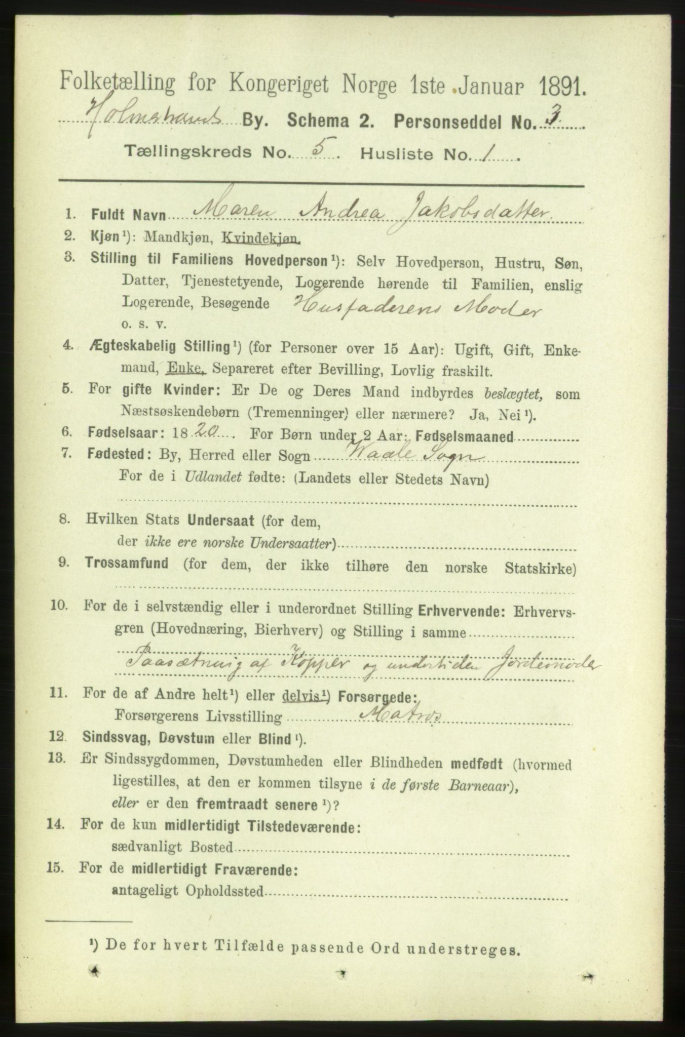 RA, 1891 census for 0702 Holmestrand, 1891, p. 2651