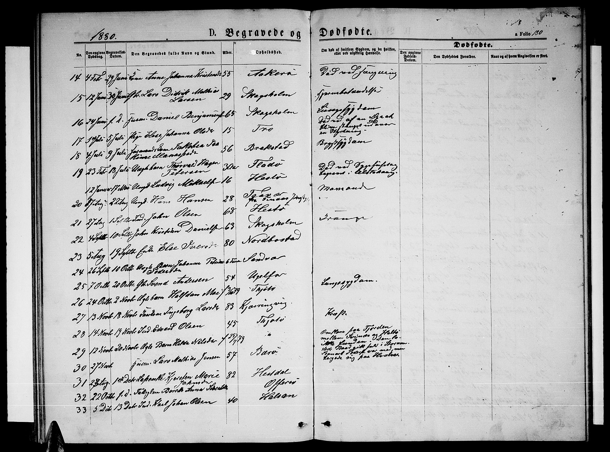 Ministerialprotokoller, klokkerbøker og fødselsregistre - Nordland, AV/SAT-A-1459/817/L0267: Parish register (copy) no. 817C02, 1870-1883, p. 180