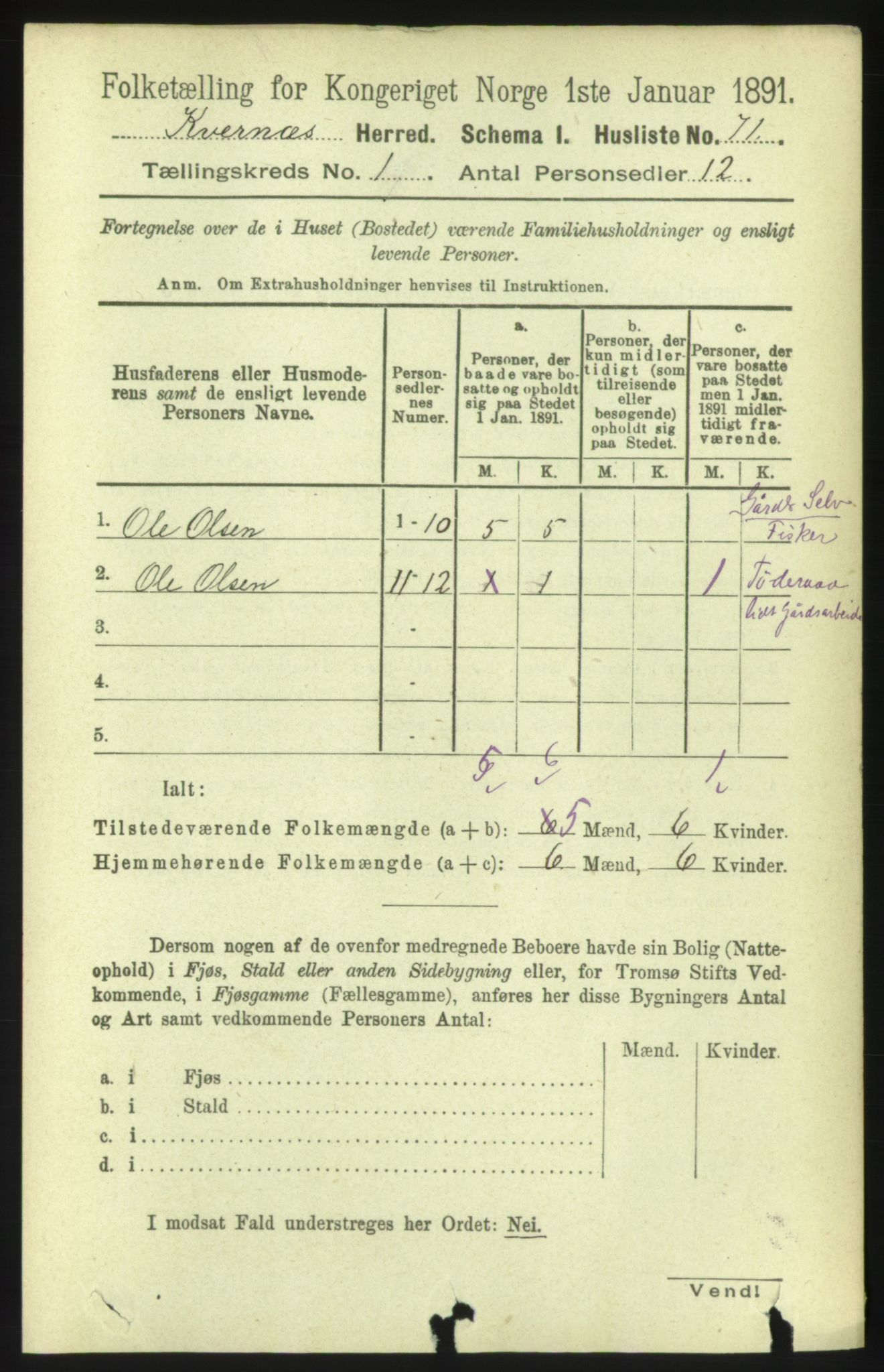 RA, 1891 census for 1553 Kvernes, 1891, p. 114