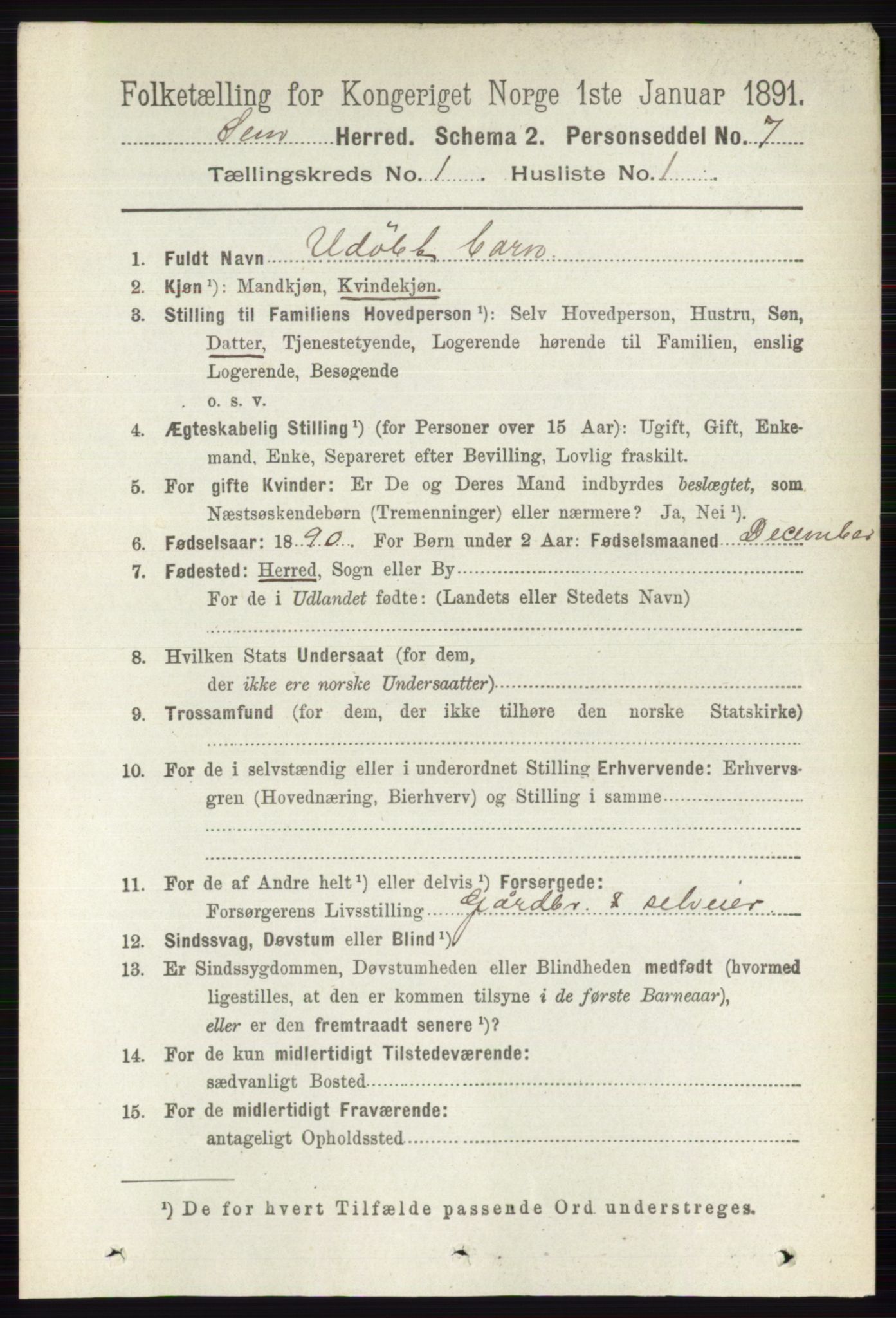 RA, 1891 census for 0721 Sem, 1891, p. 132