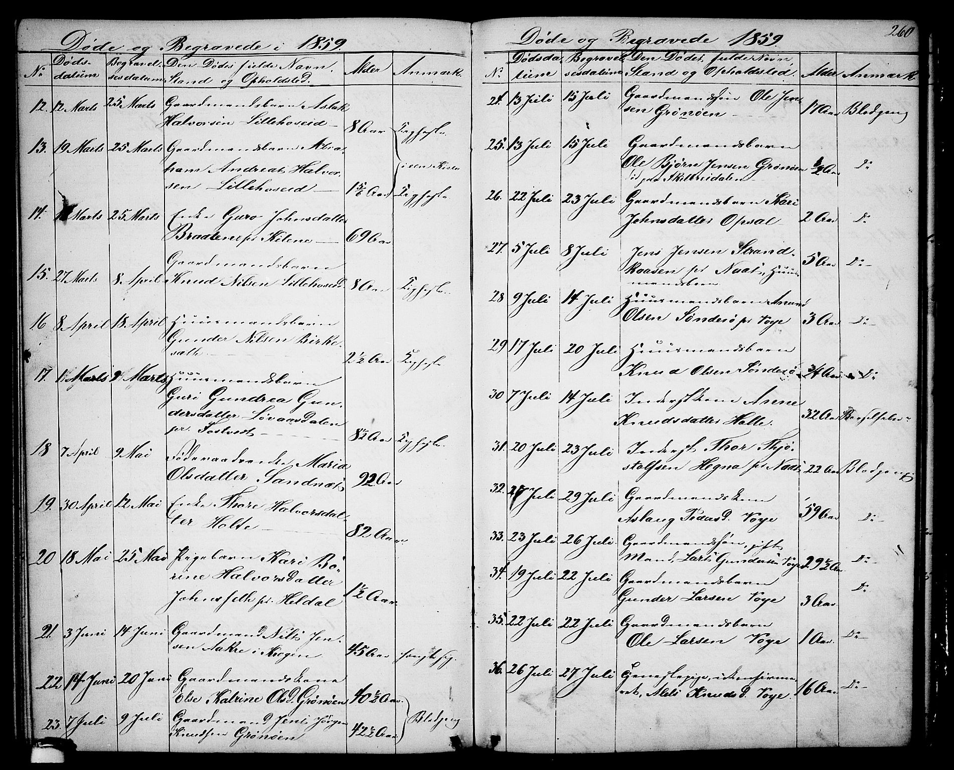 Drangedal kirkebøker, SAKO/A-258/G/Ga/L0002: Parish register (copy) no. I 2, 1856-1887, p. 260