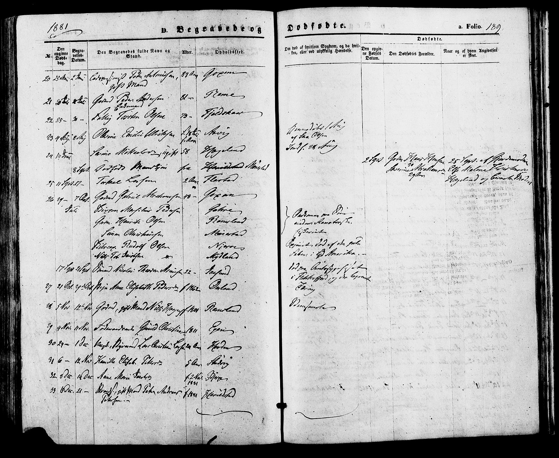 Sør-Audnedal sokneprestkontor, SAK/1111-0039/F/Fa/Faa/L0003: Parish register (official) no. A 3, 1868-1883, p. 189