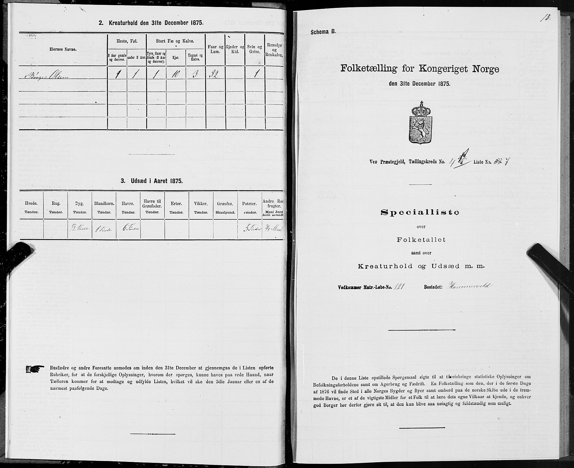 SAT, 1875 census for 1541P Veøy, 1875, p. 3013