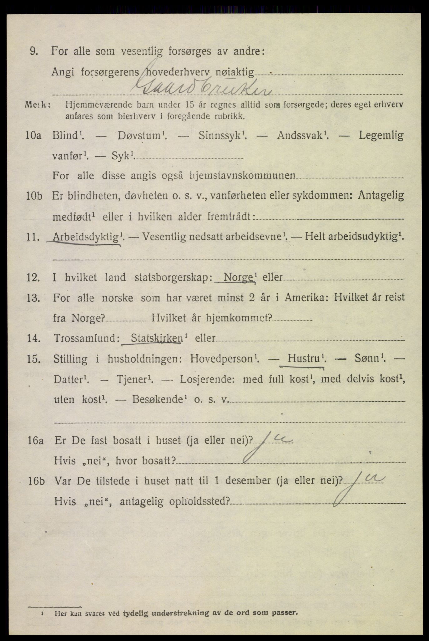 SAH, 1920 census for Kolbu, 1920, p. 3117