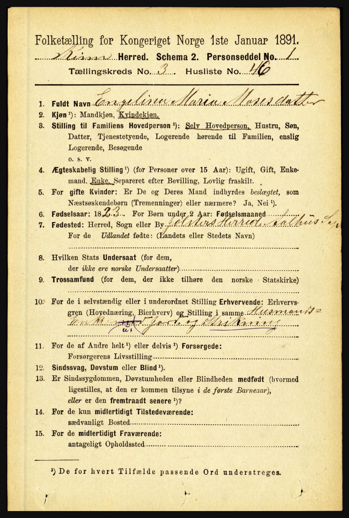 RA, 1891 census for 1437 Kinn, 1891, p. 1243