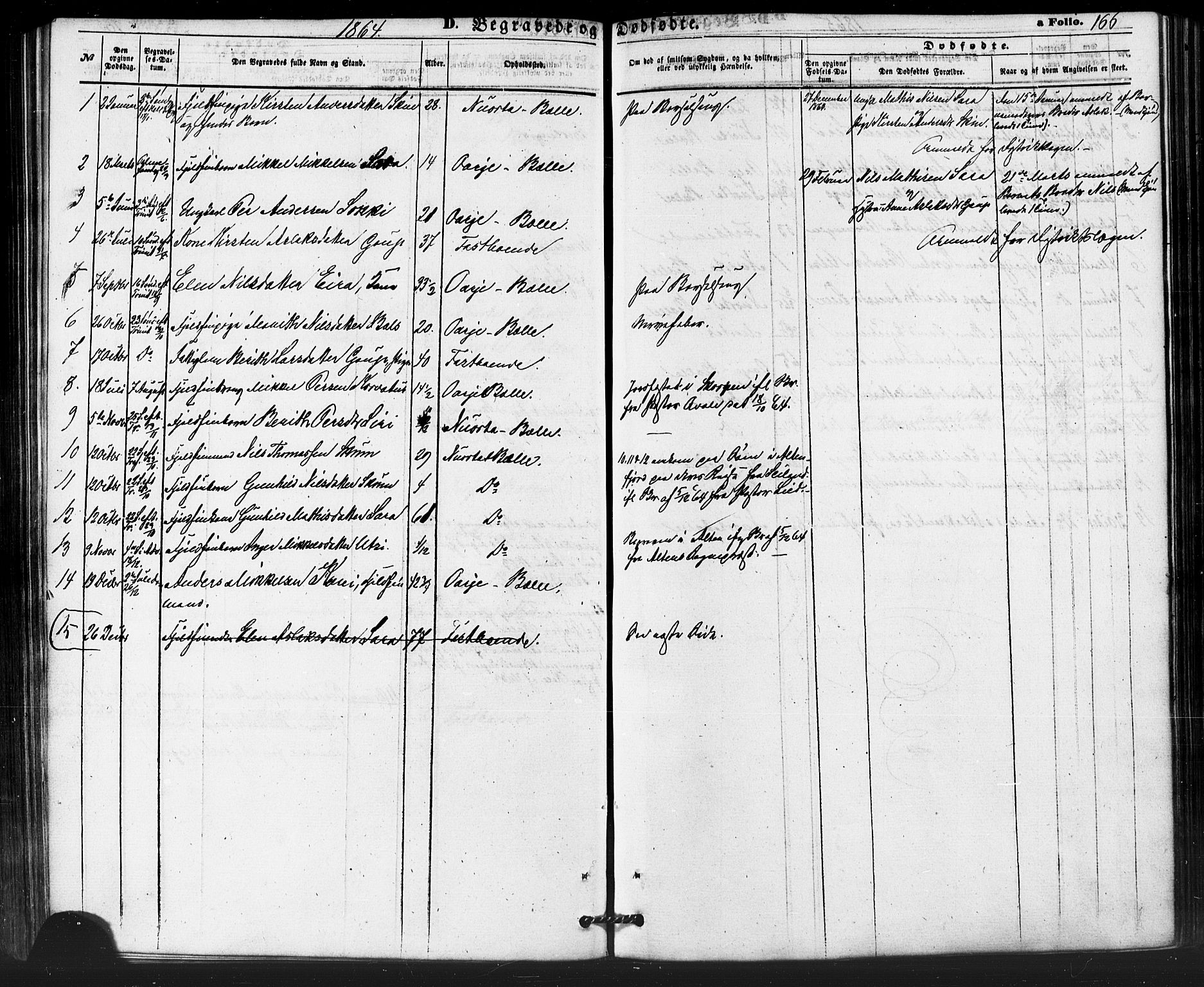 Kautokeino sokneprestembete, SATØ/S-1340/H/Ha/L0003.kirke: Parish register (official) no. 3, 1862-1879, p. 166