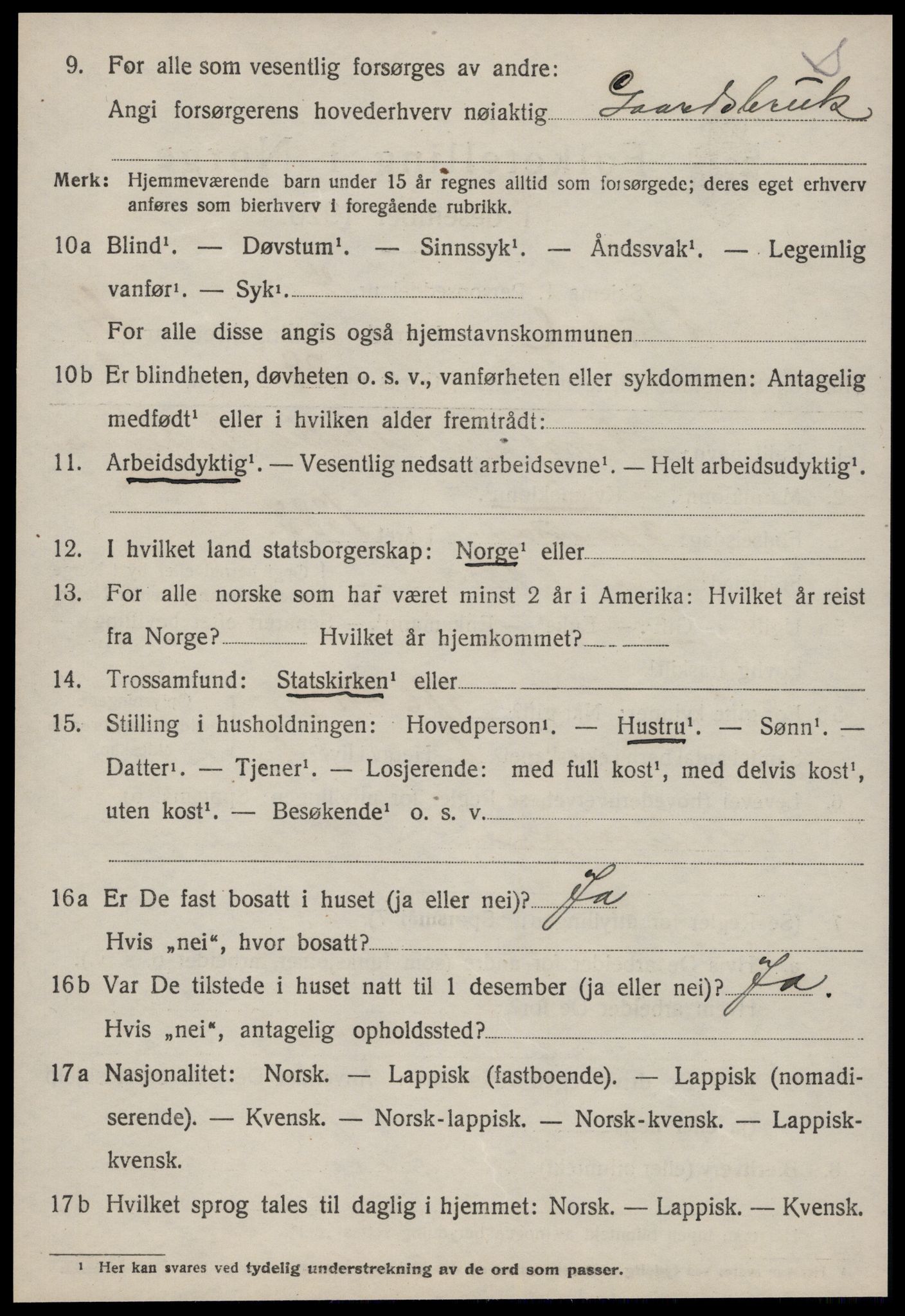 SAT, 1920 census for Budal, 1920, p. 1073