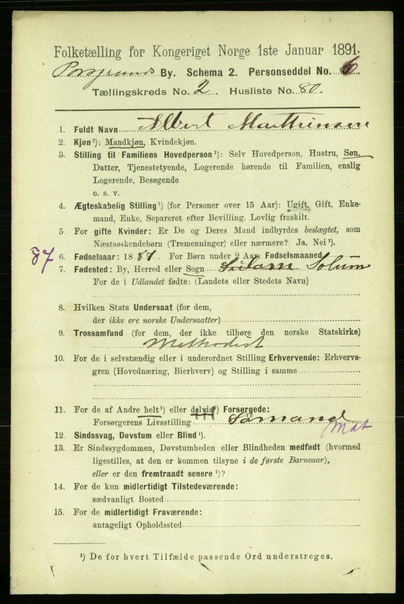 RA, 1891 census for 0805 Porsgrunn, 1891, p. 2776