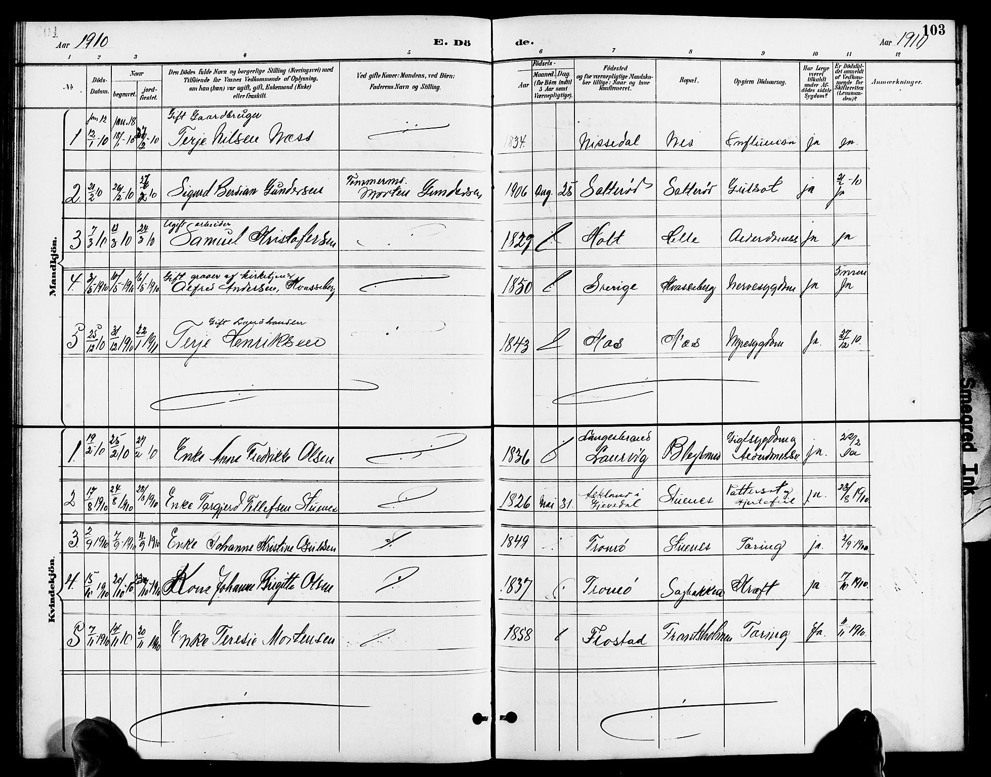 Austre Moland sokneprestkontor, SAK/1111-0001/F/Fb/Fbb/L0002: Parish register (copy) no. B 2, 1894-1918, p. 103