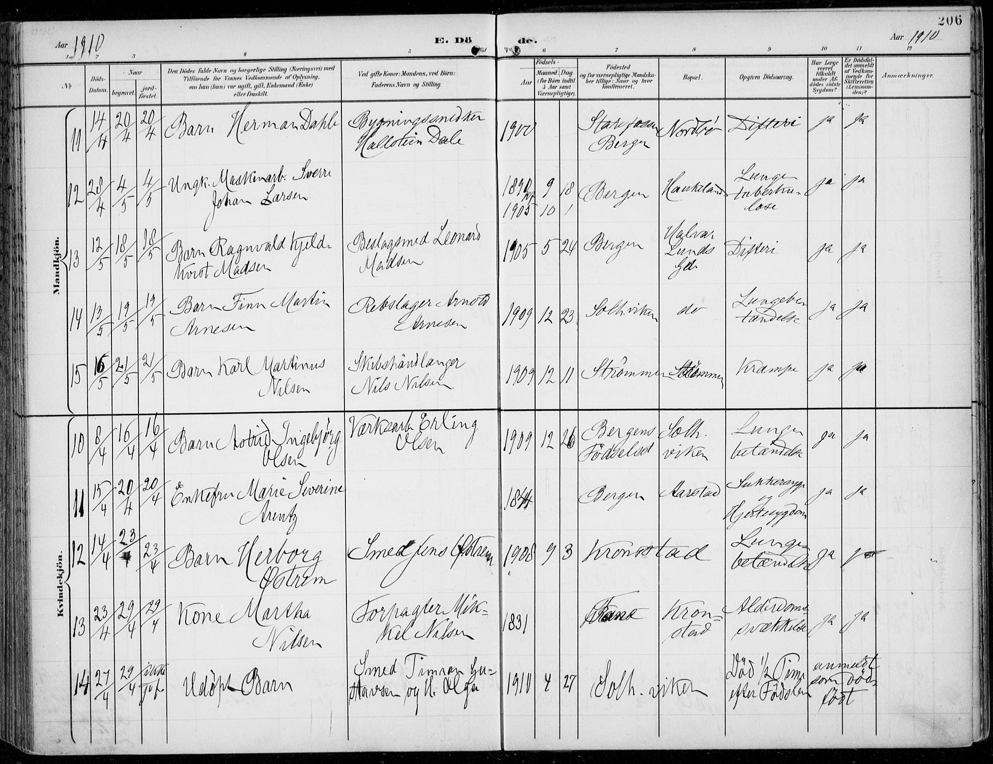 Årstad Sokneprestembete, AV/SAB-A-79301/H/Haa/L0009: Parish register (official) no. C 1, 1902-1918, p. 206