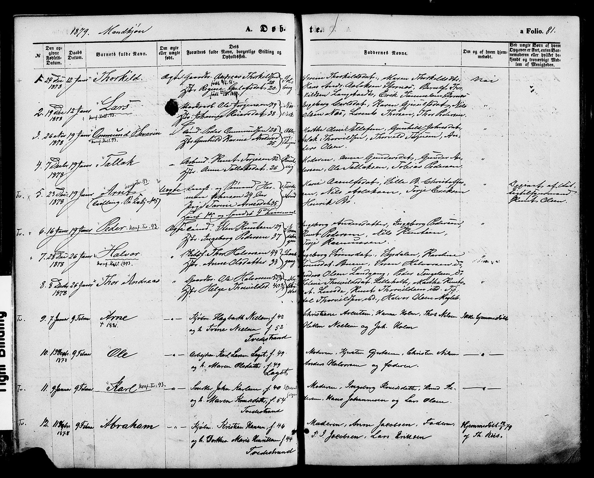 Holt sokneprestkontor, AV/SAK-1111-0021/F/Fa/L0010: Parish register (official) no. A 10, 1872-1885, p. 81