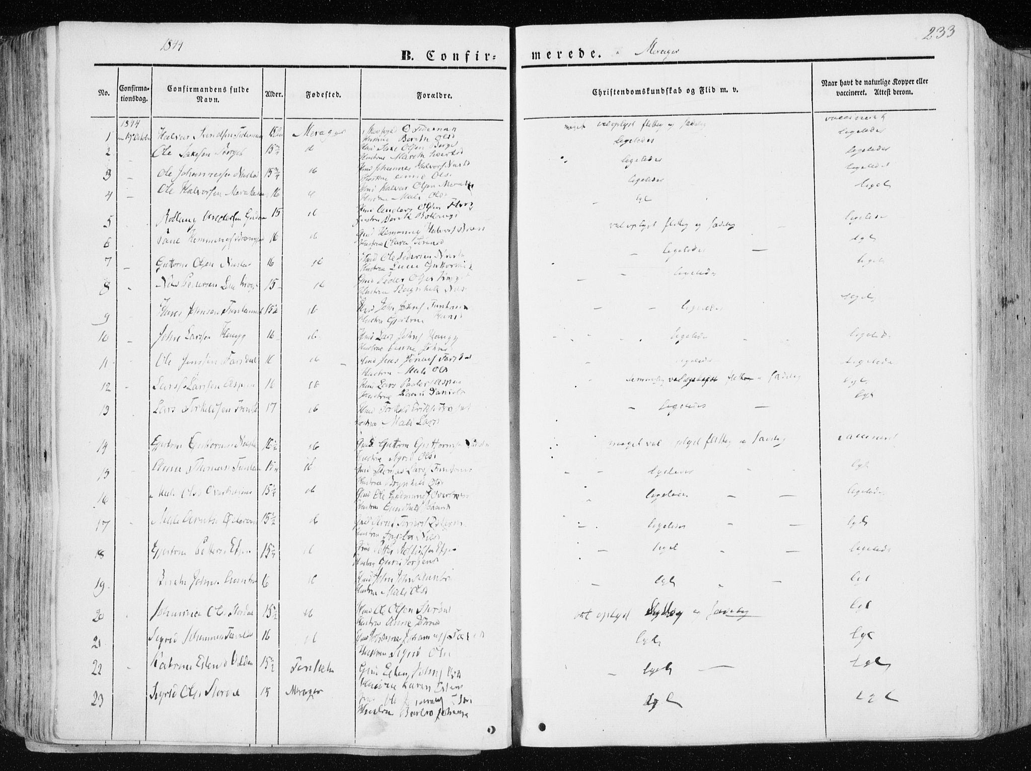 Ministerialprotokoller, klokkerbøker og fødselsregistre - Nord-Trøndelag, AV/SAT-A-1458/709/L0074: Parish register (official) no. 709A14, 1845-1858, p. 233