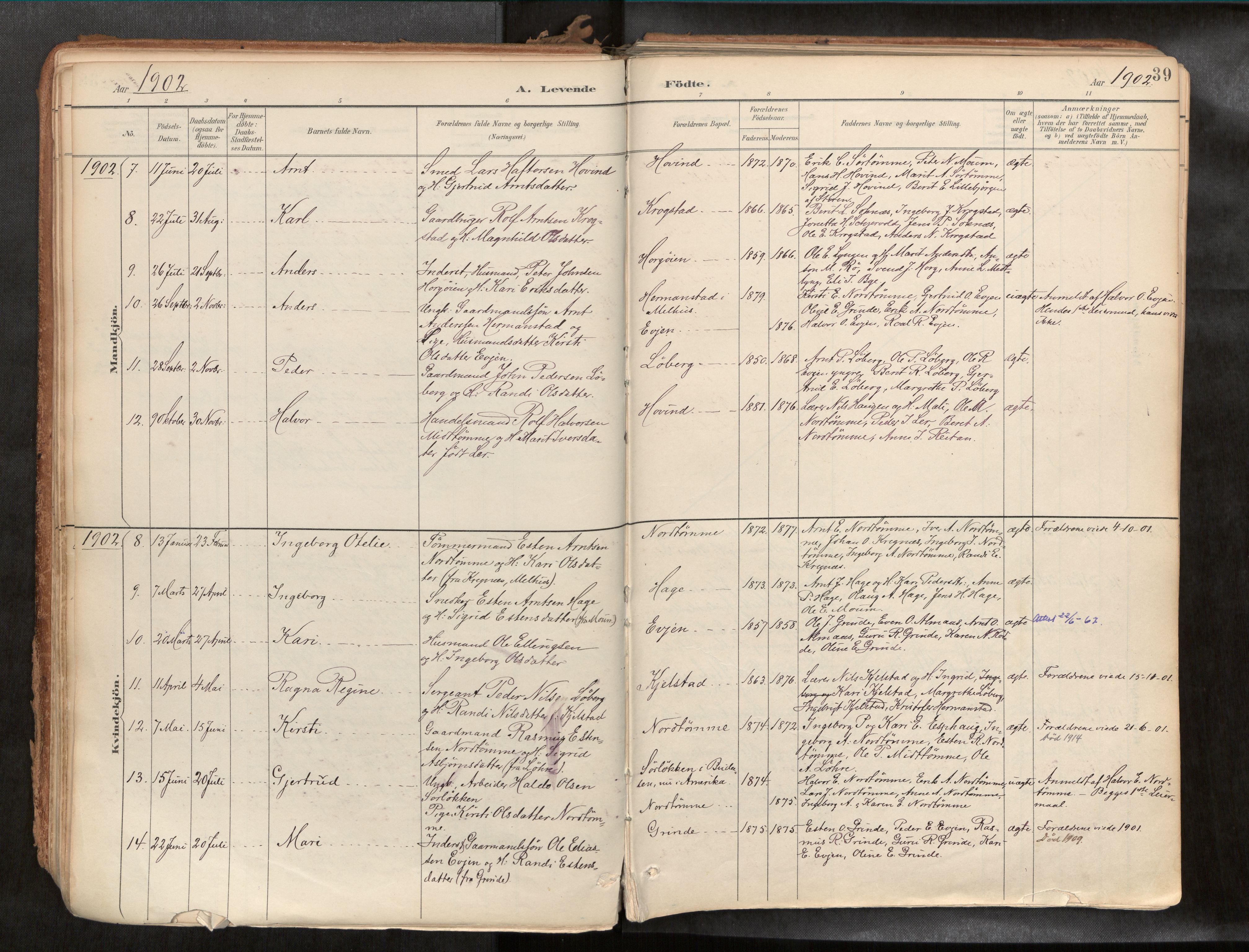 Ministerialprotokoller, klokkerbøker og fødselsregistre - Sør-Trøndelag, SAT/A-1456/692/L1105b: Parish register (official) no. 692A06, 1891-1934, p. 39