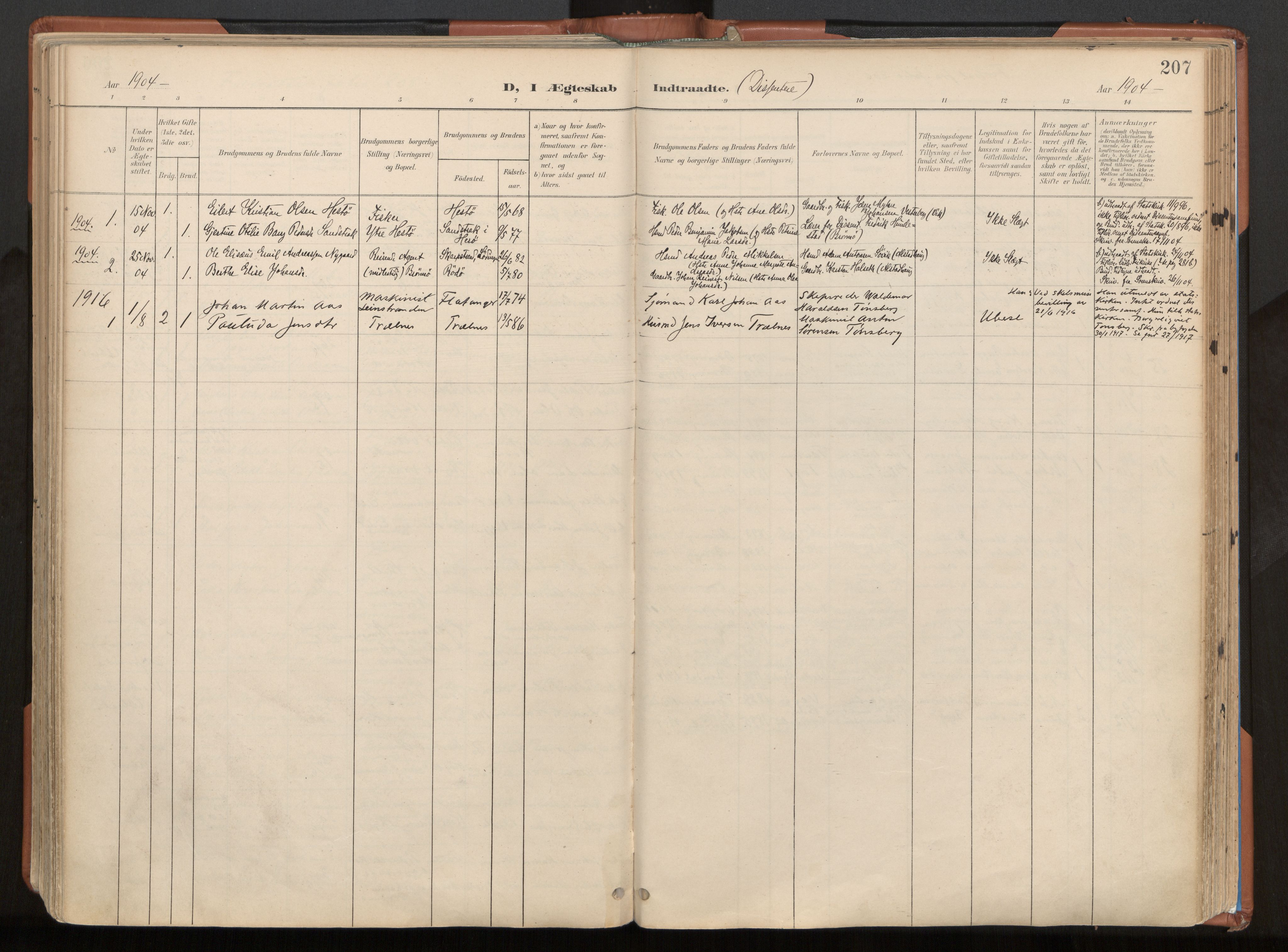 Ministerialprotokoller, klokkerbøker og fødselsregistre - Nordland, SAT/A-1459/813/L0201: Parish register (official) no. 813A11, 1901-1918, p. 207