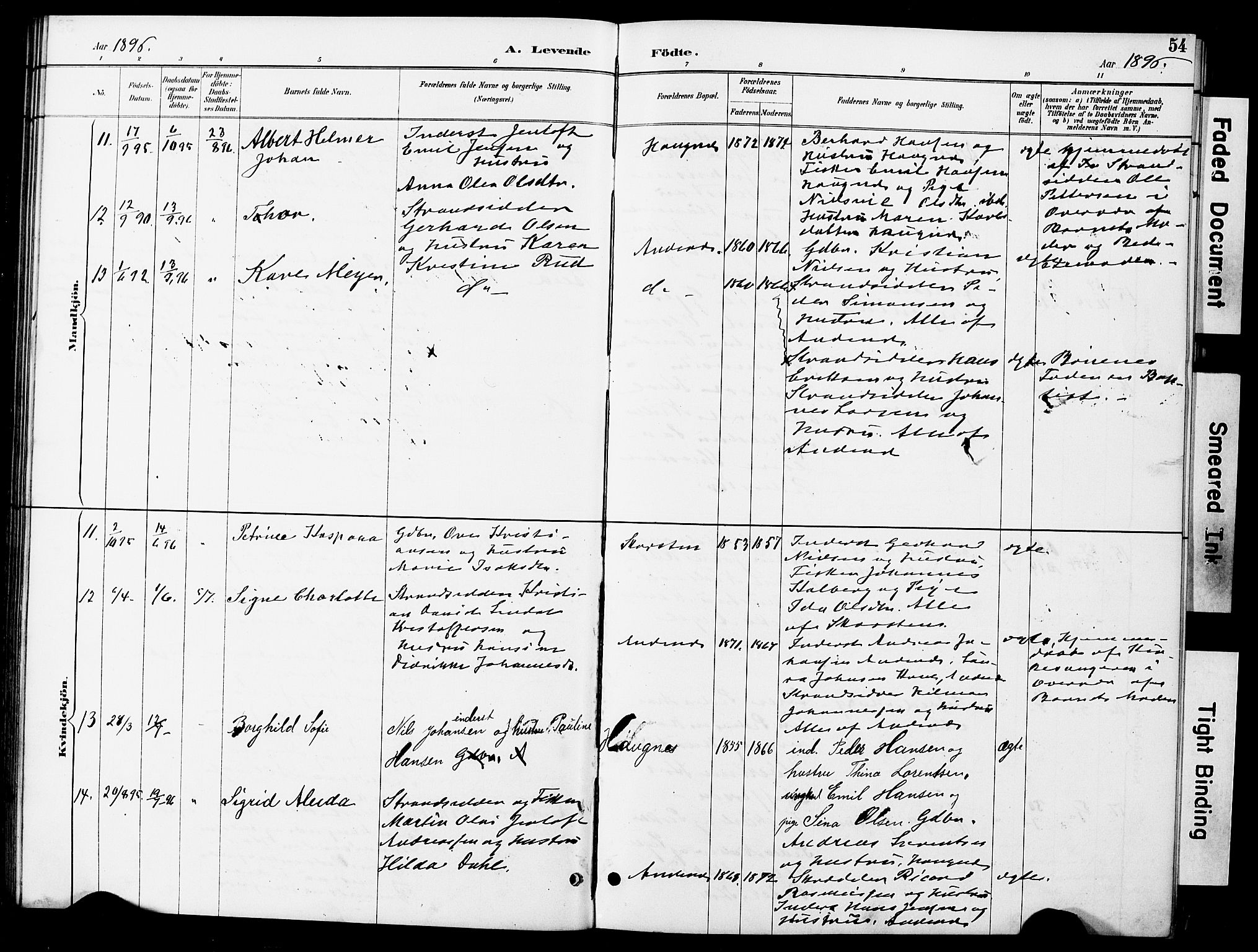 Ministerialprotokoller, klokkerbøker og fødselsregistre - Nordland, AV/SAT-A-1459/899/L1448: Parish register (copy) no. 899C03, 1887-1902, p. 54