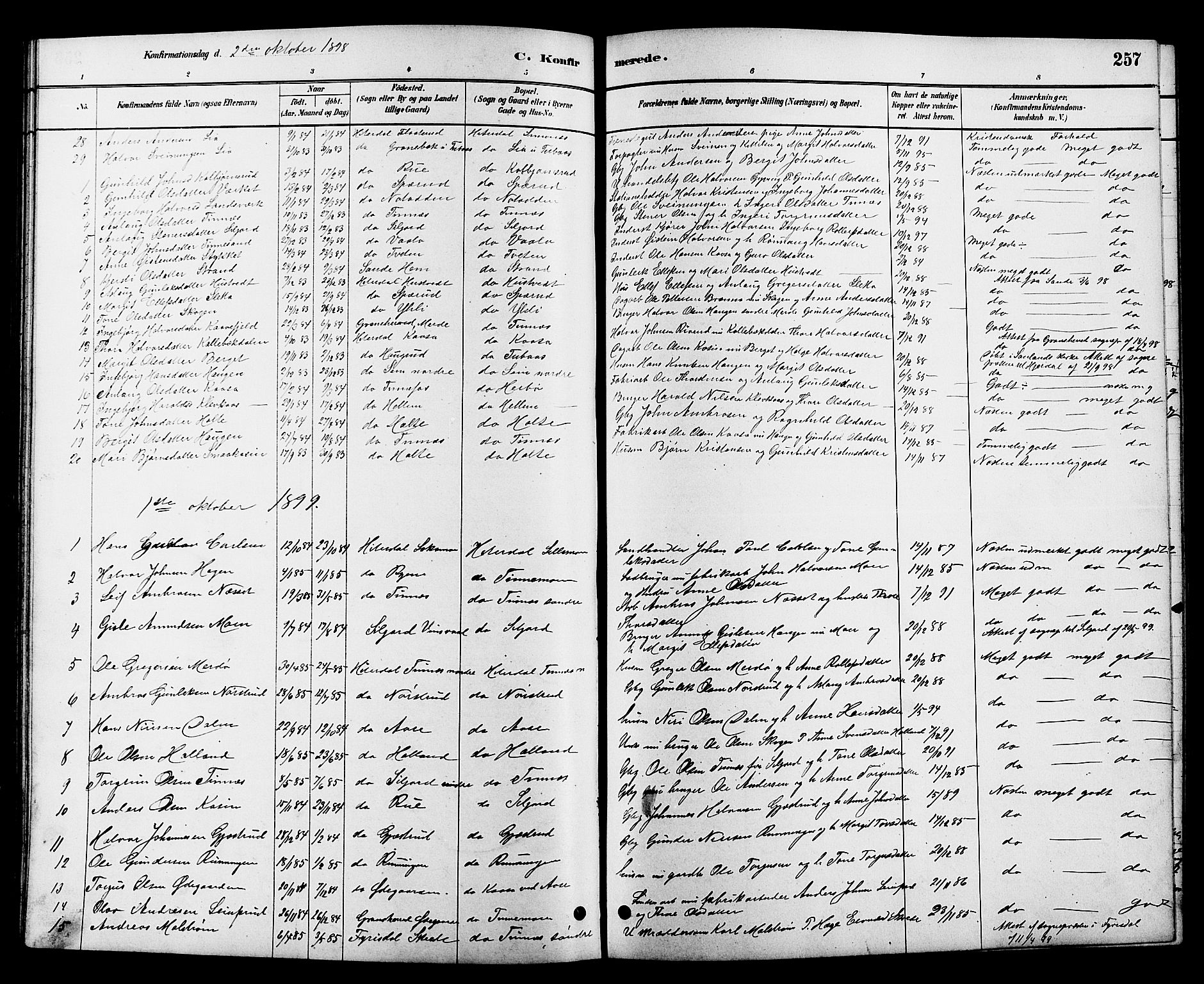 Heddal kirkebøker, SAKO/A-268/G/Ga/L0002: Parish register (copy) no. I 2, 1879-1908, p. 257