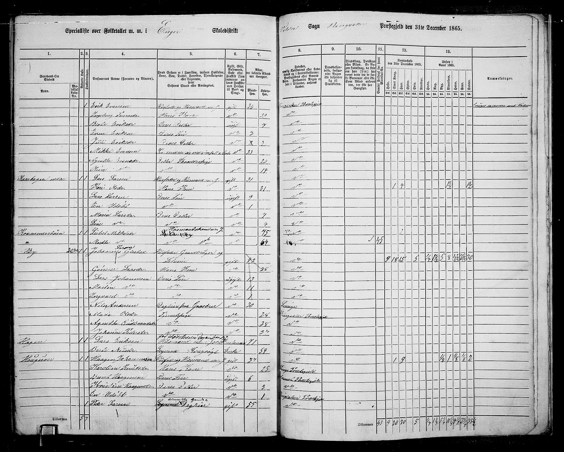 RA, 1865 census for Ringsaker, 1865, p. 253