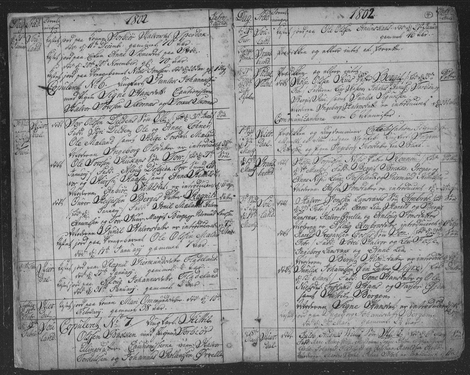 Hjartdal kirkebøker, AV/SAKO-A-270/F/Fa/L0006: Parish register (official) no. I 6, 1801-1814, p. 4