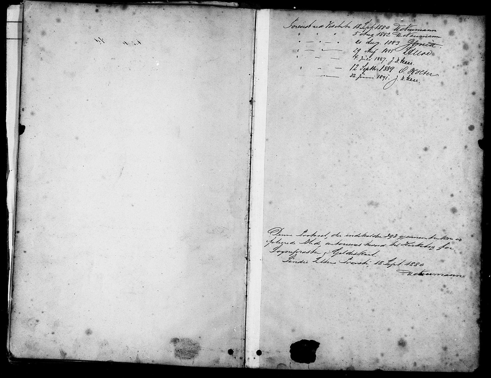 Ministerialprotokoller, klokkerbøker og fødselsregistre - Nordland, SAT/A-1459/805/L0099: Parish register (official) no. 805A06, 1880-1891