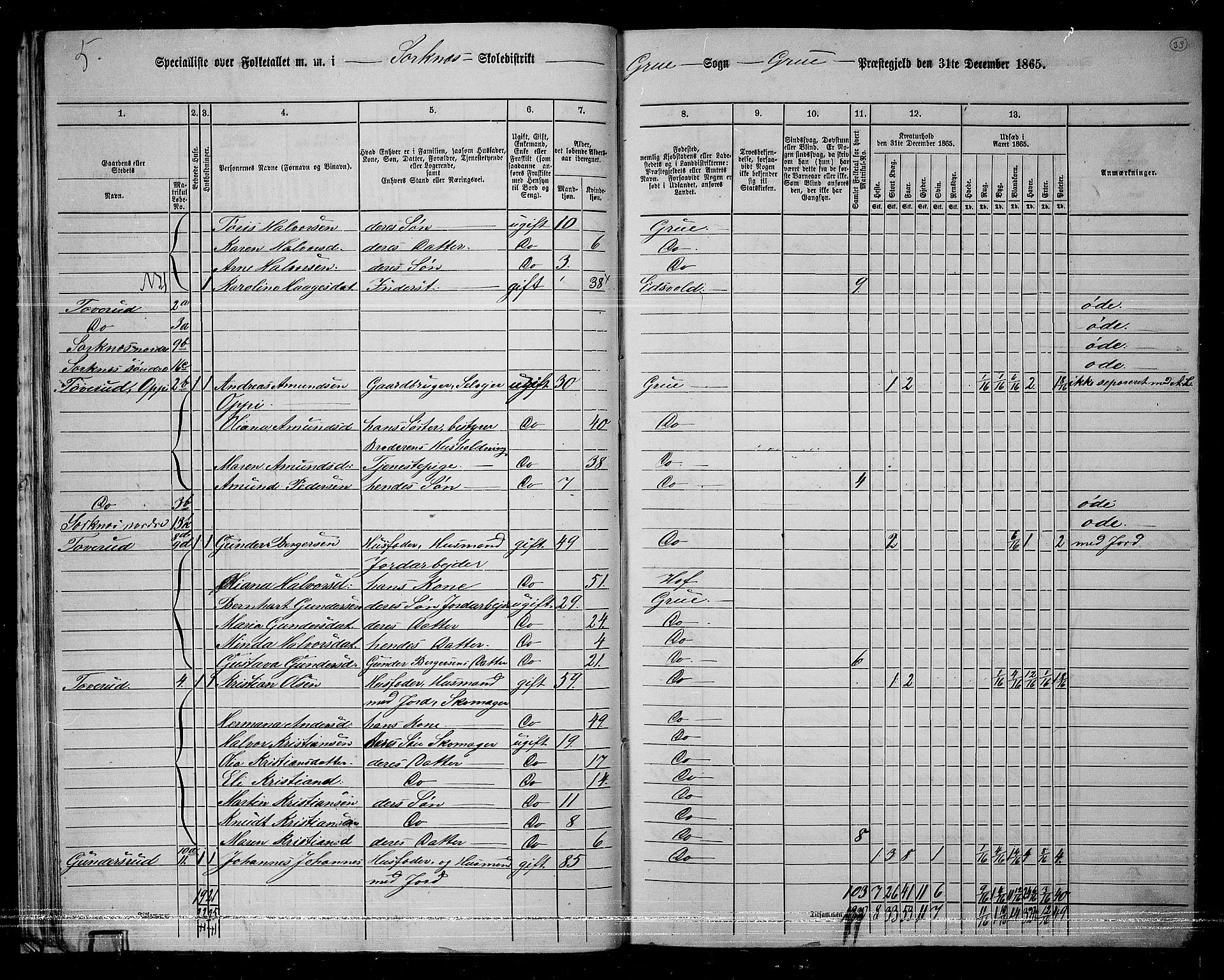 RA, 1865 census for Grue, 1865, p. 32