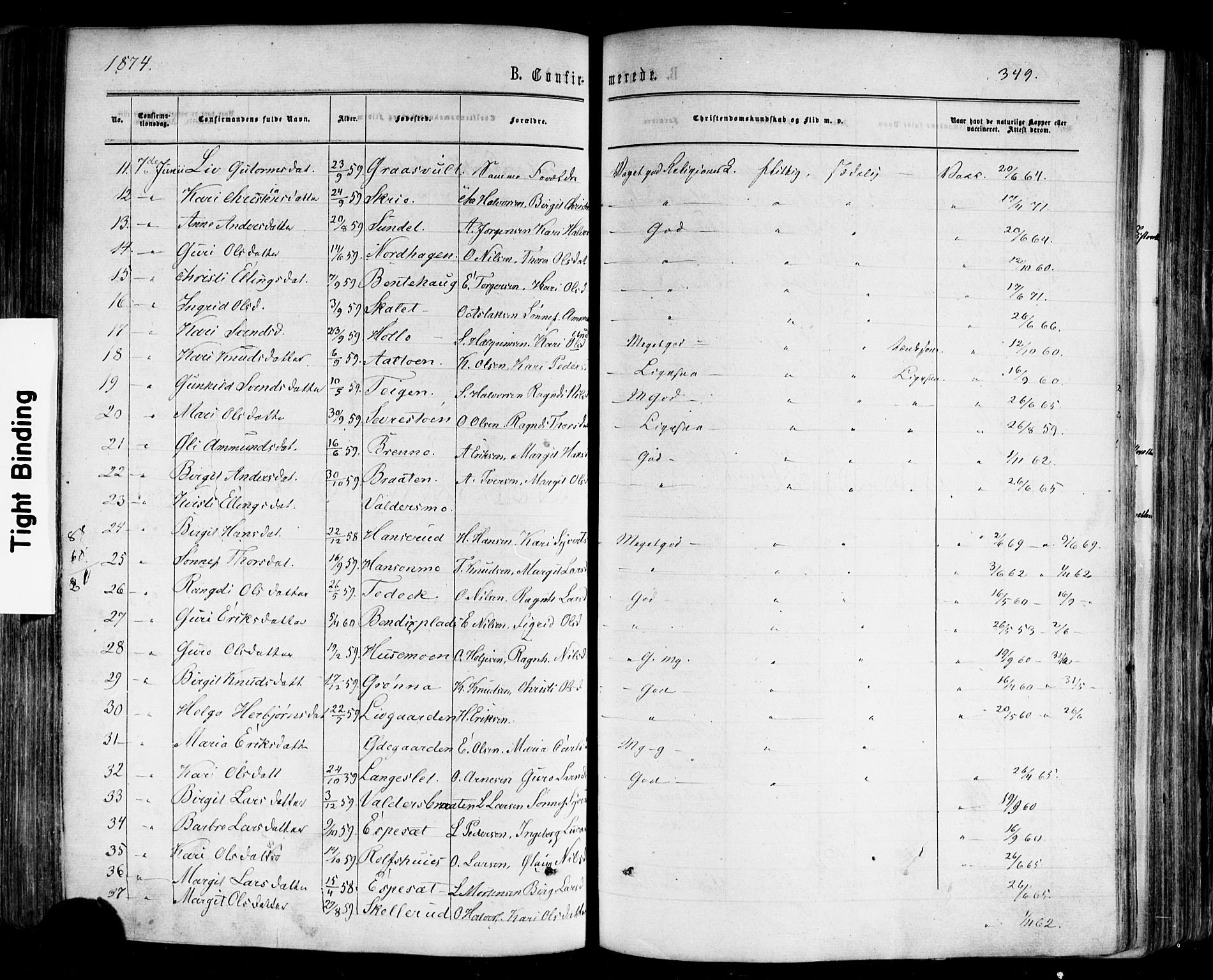 Nes kirkebøker, AV/SAKO-A-236/F/Fa/L0010: Parish register (official) no. 10, 1864-1880, p. 349