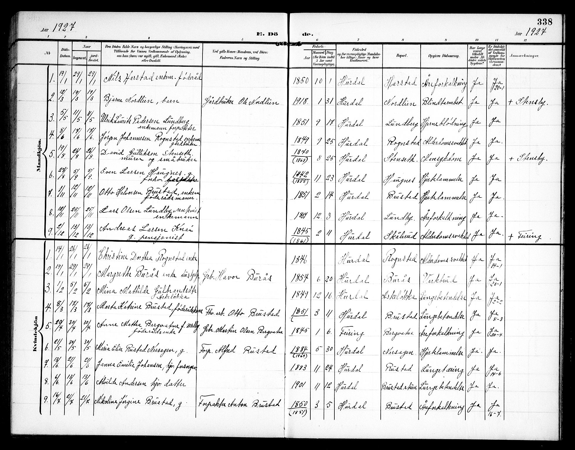 Hurdal prestekontor Kirkebøker, SAO/A-10889/G/Ga/L0001: Parish register (copy) no. I 1, 1902-1934, p. 338