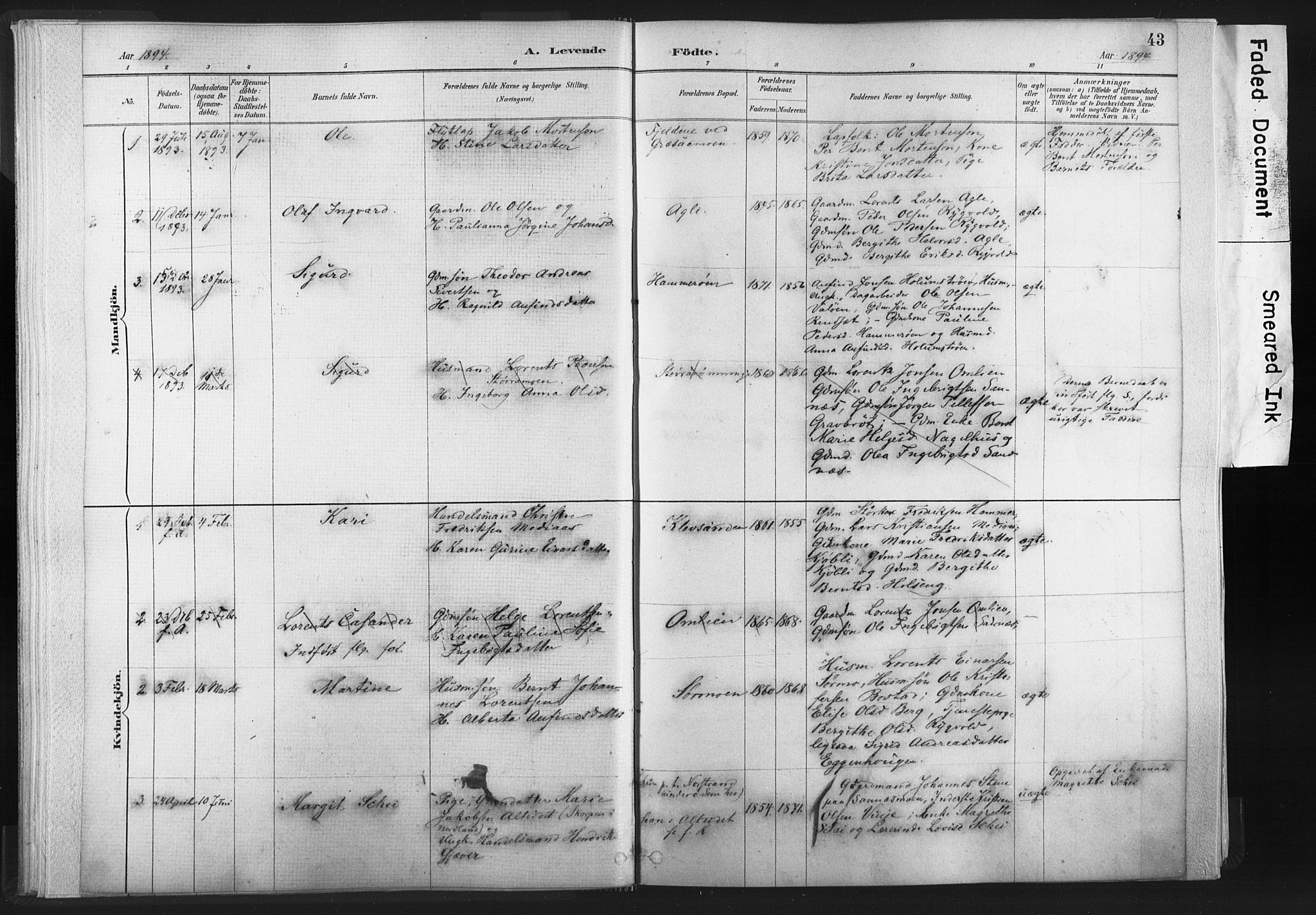 Ministerialprotokoller, klokkerbøker og fødselsregistre - Nord-Trøndelag, SAT/A-1458/749/L0474: Parish register (official) no. 749A08, 1887-1903, p. 43