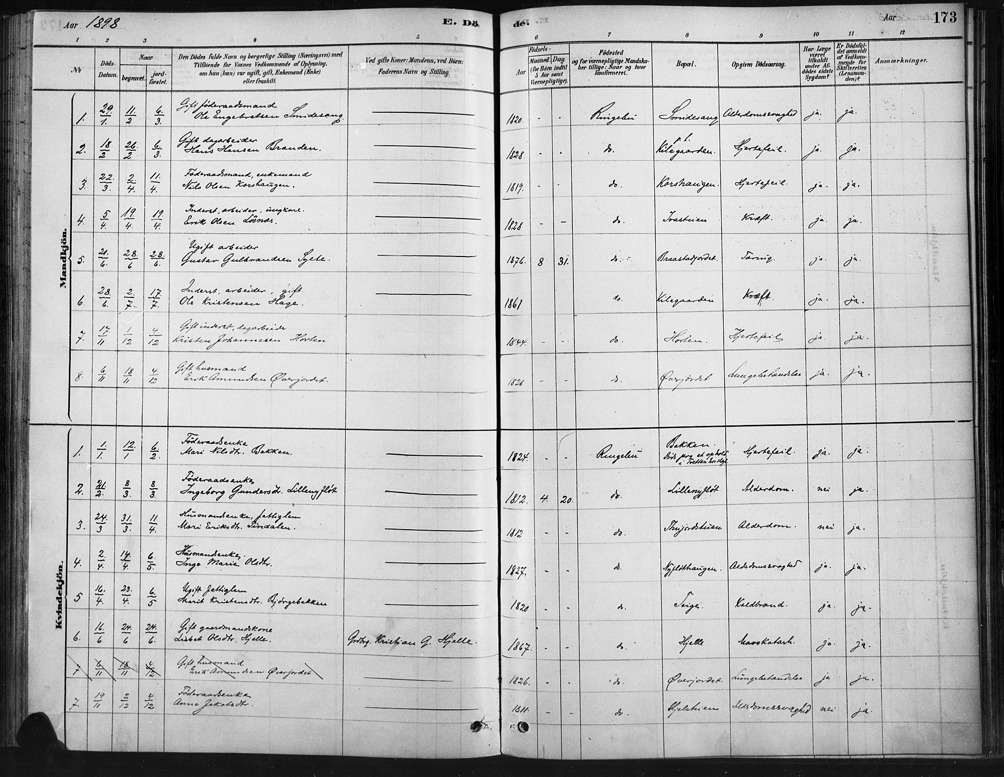 Ringebu prestekontor, SAH/PREST-082/H/Ha/Haa/L0009: Parish register (official) no. 9, 1878-1898, p. 173