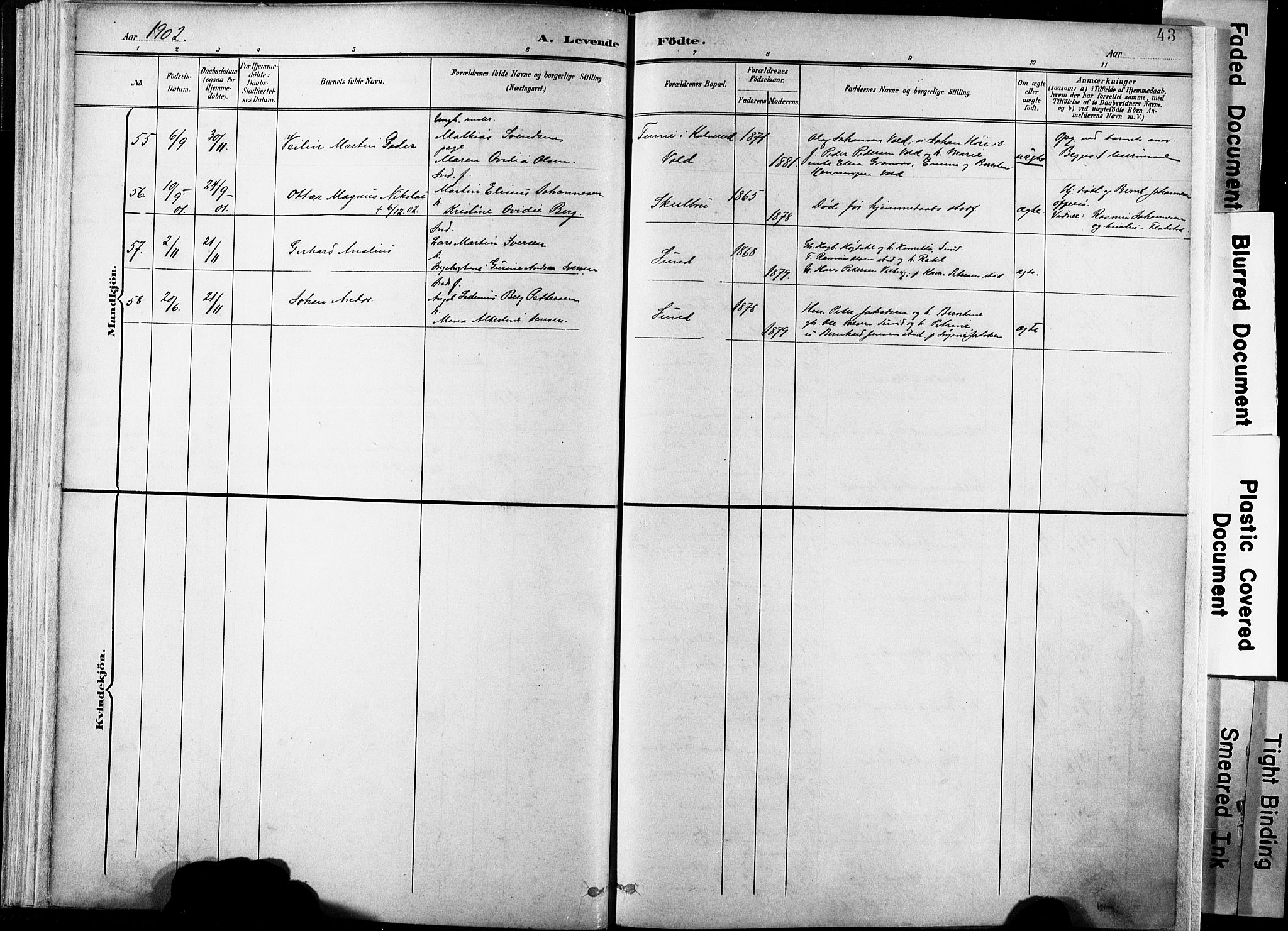 Ministerialprotokoller, klokkerbøker og fødselsregistre - Nordland, AV/SAT-A-1459/881/L1151: Parish register (official) no. 881A04, 1899-1907, p. 43