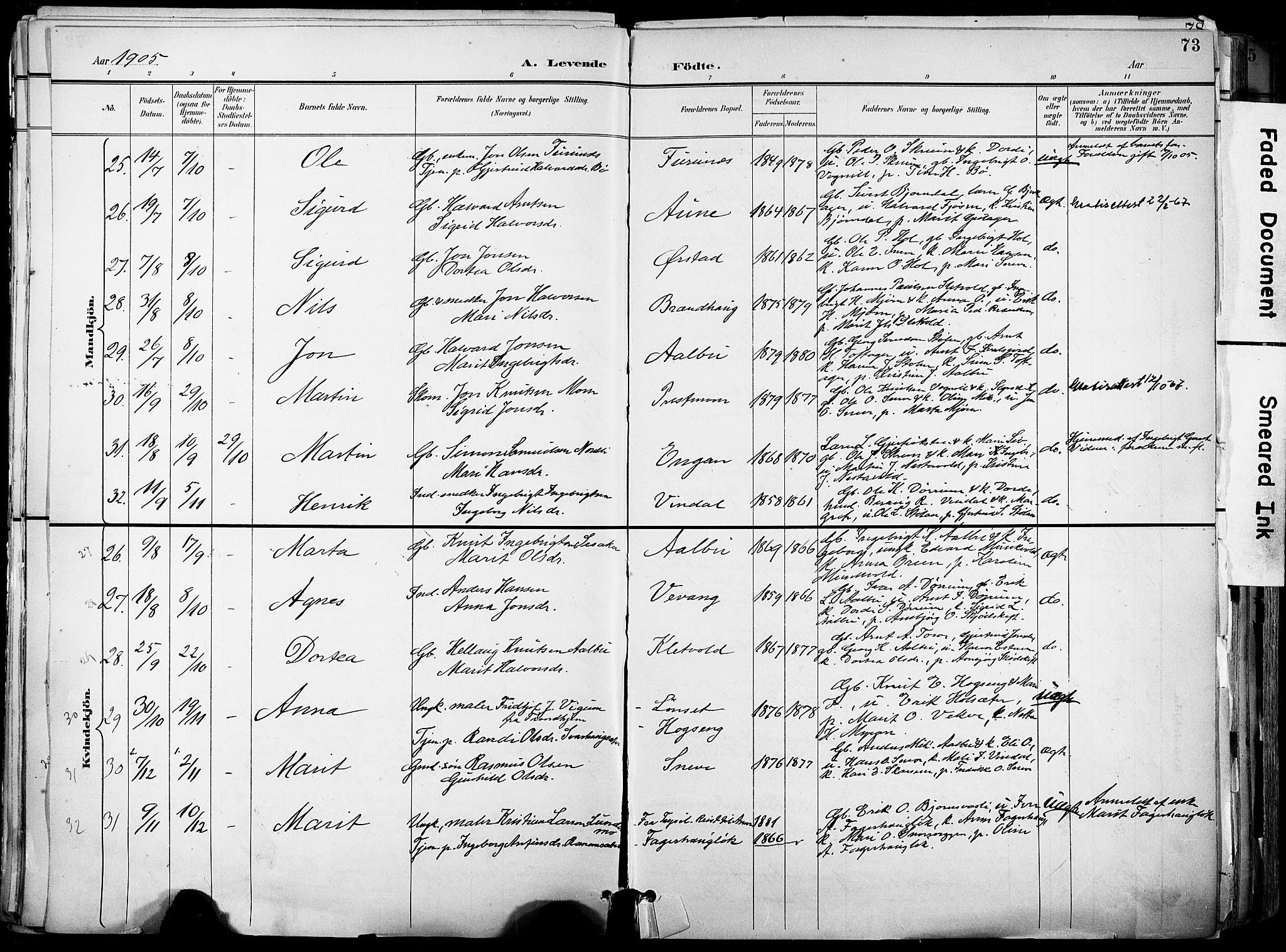 Ministerialprotokoller, klokkerbøker og fødselsregistre - Sør-Trøndelag, AV/SAT-A-1456/678/L0902: Parish register (official) no. 678A11, 1895-1911, p. 73