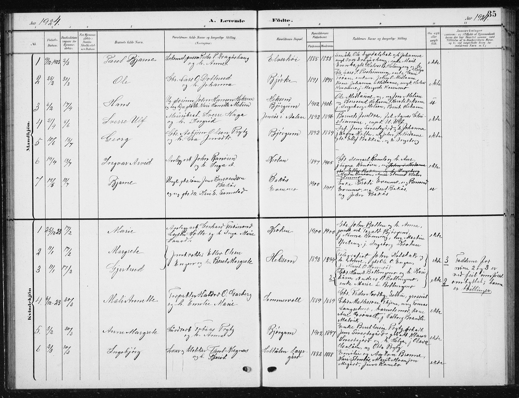 Ministerialprotokoller, klokkerbøker og fødselsregistre - Sør-Trøndelag, SAT/A-1456/685/L0979: Parish register (copy) no. 685C04, 1908-1933, p. 35