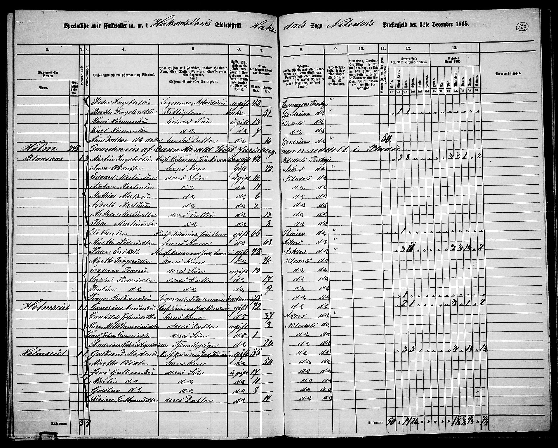 RA, 1865 census for Nittedal, 1865, p. 104