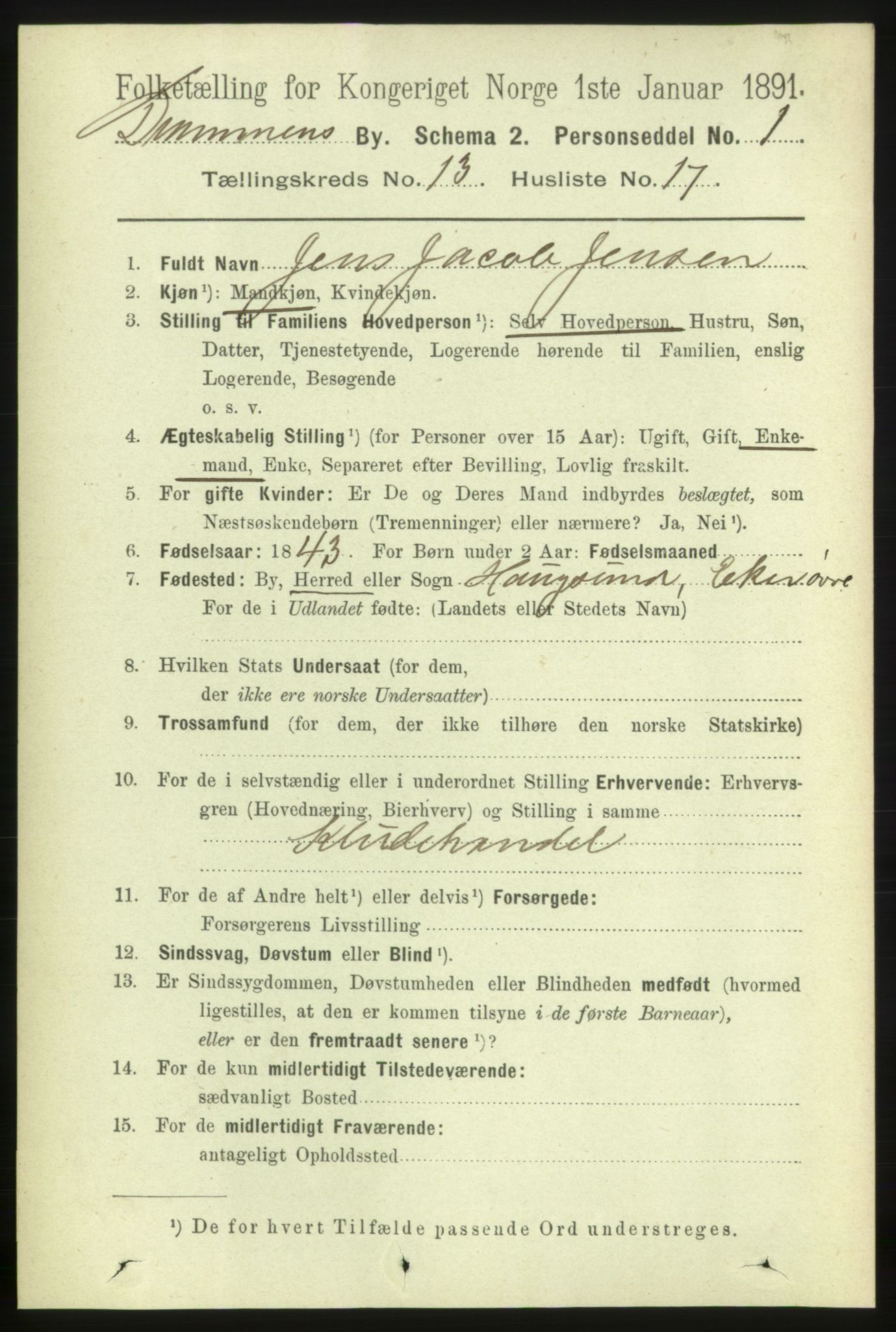 RA, 1891 census for 0602 Drammen, 1891, p. 9756